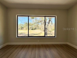 3505 Tarpon Woods Boulevard #J408 Palm Harbor FL 34685 TB8484921 image9