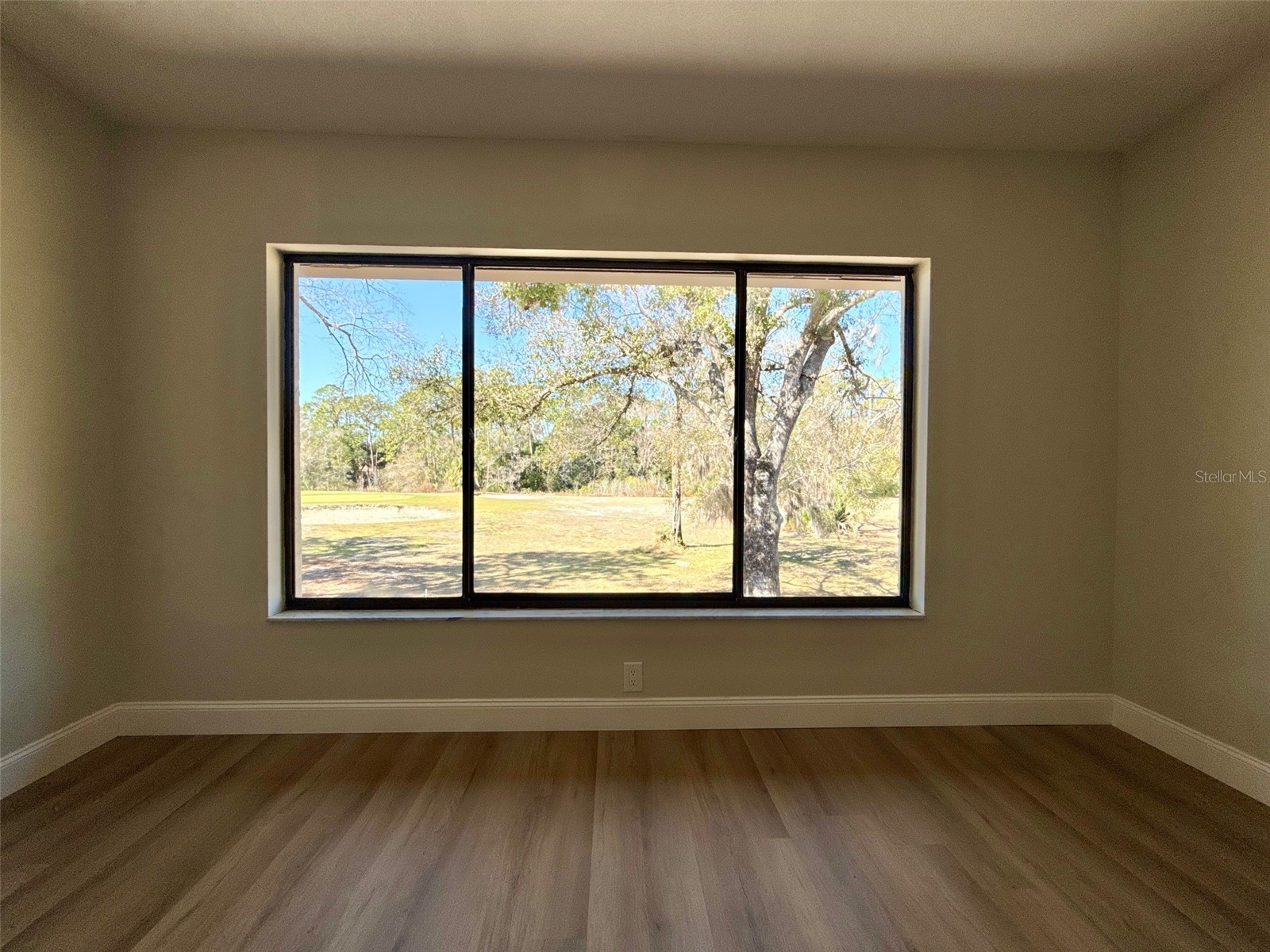 3505 Tarpon Woods Boulevard #J408 Palm Harbor FL 34685 TB8509404 image13