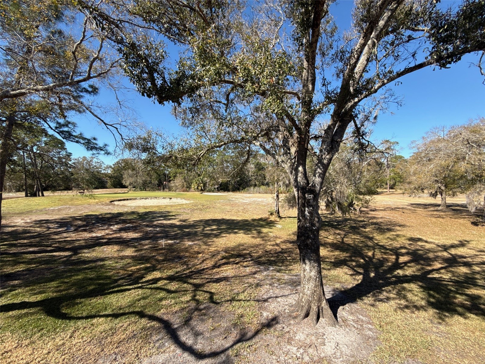 3505 Tarpon Woods Boulevard #J408 Palm Harbor FL 34685 TB8509404 image14