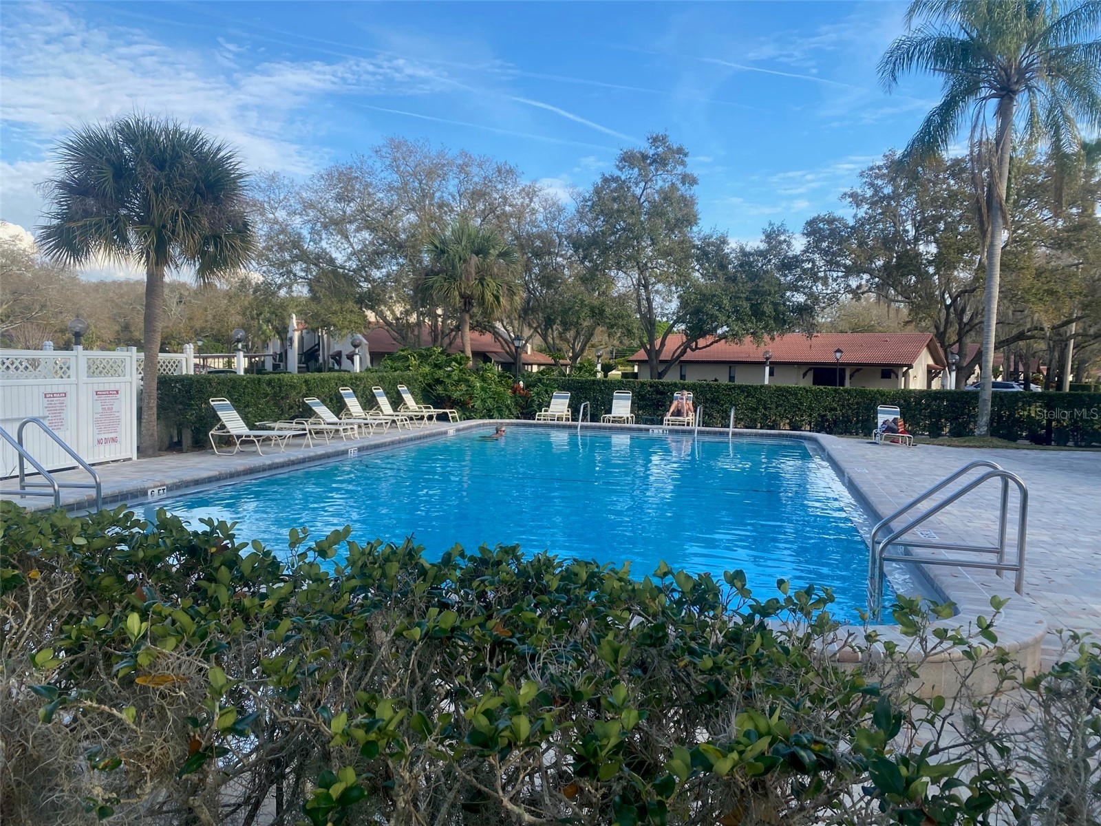 3505 Tarpon Woods Boulevard #J408 Palm Harbor FL 34685 TB8509404 image30