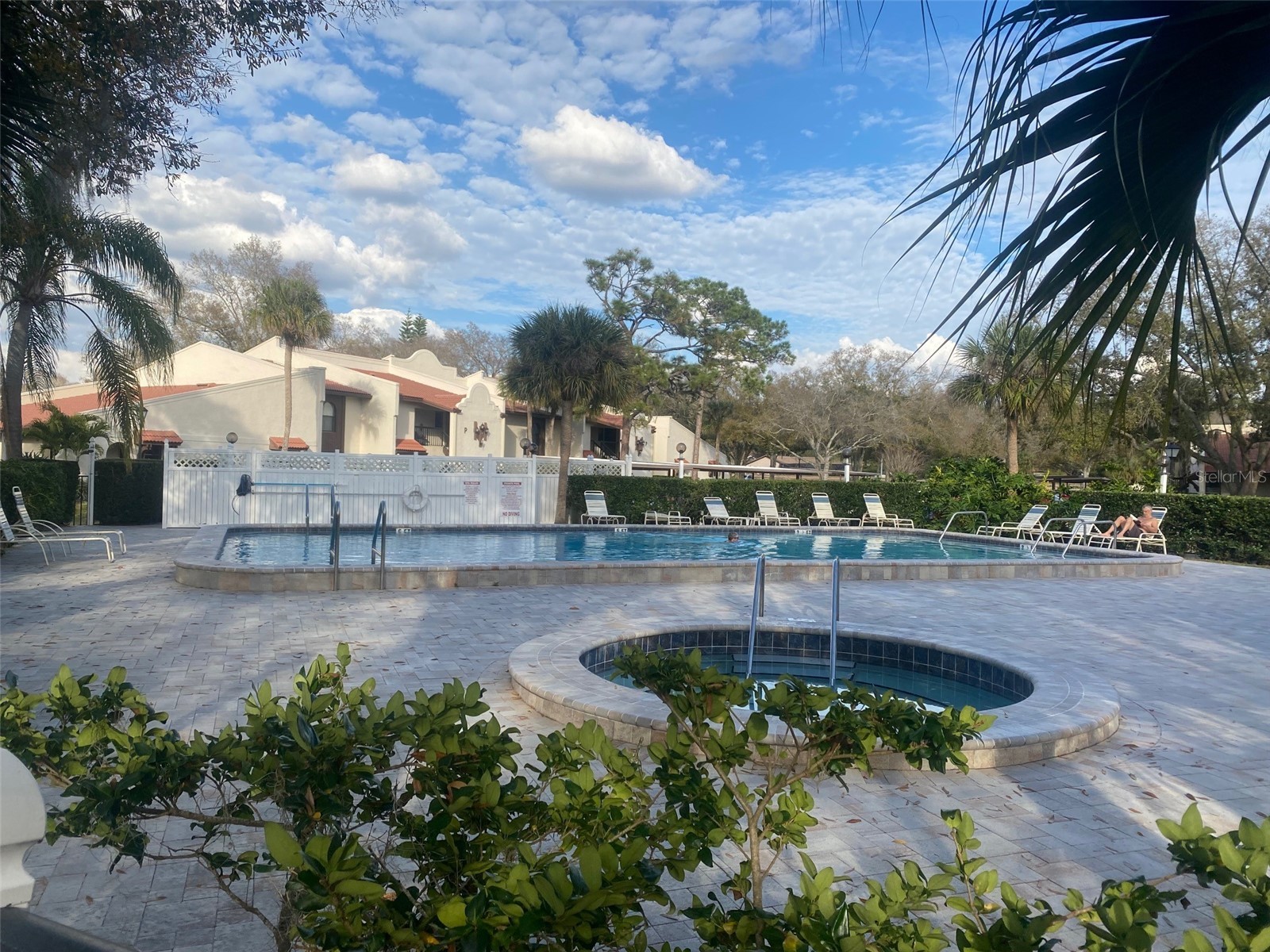 3505 Tarpon Woods Boulevard #J408 Palm Harbor FL 34685 TB8509404 image32