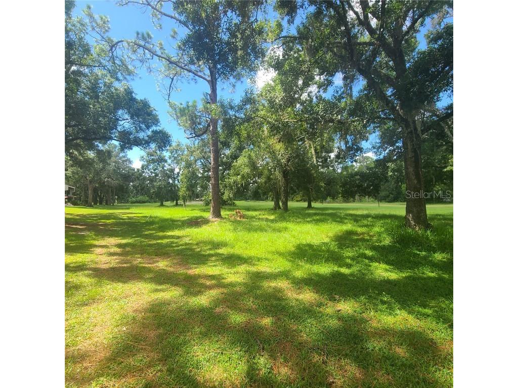 3505 Tarpon Woods Boulevard #K408 Palm Harbor FL 34685 TB8402615 image21