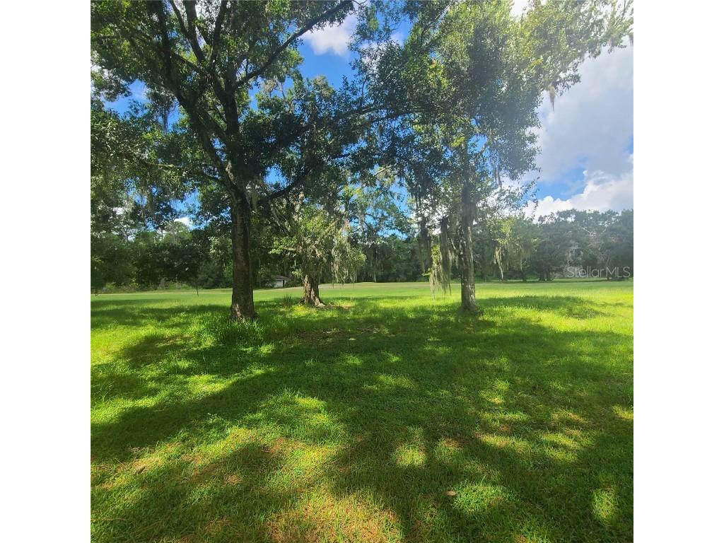 3505 Tarpon Woods Boulevard #K408 Palm Harbor FL 34685 TB8402615 image22