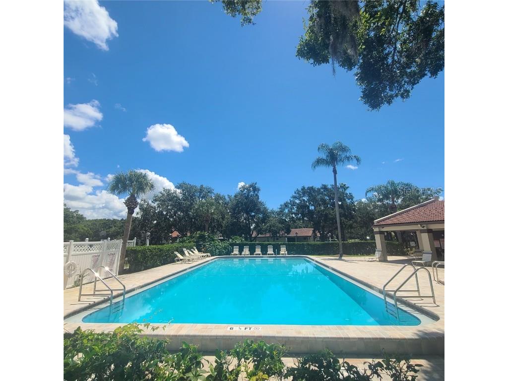 3505 Tarpon Woods Boulevard #K408 Palm Harbor FL 34685 TB8402615 image25