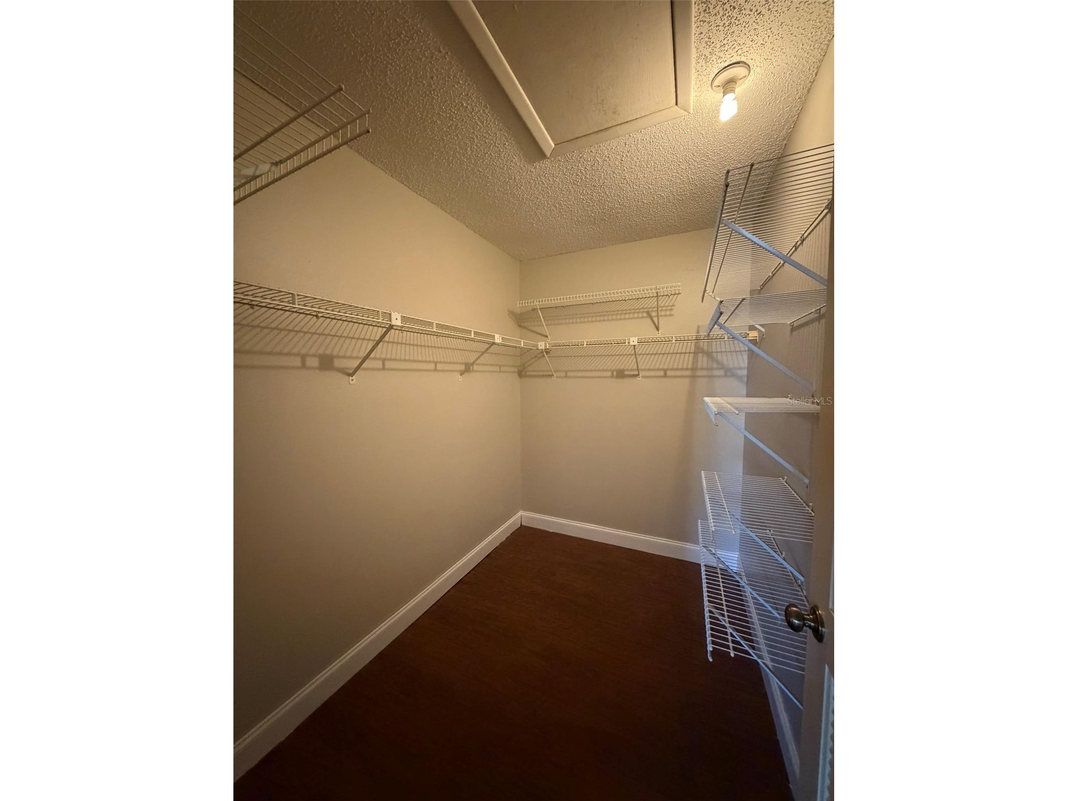 3505 Tarpon Woods Boulevard #K408 Palm Harbor FL 34685 TB8482289 image13