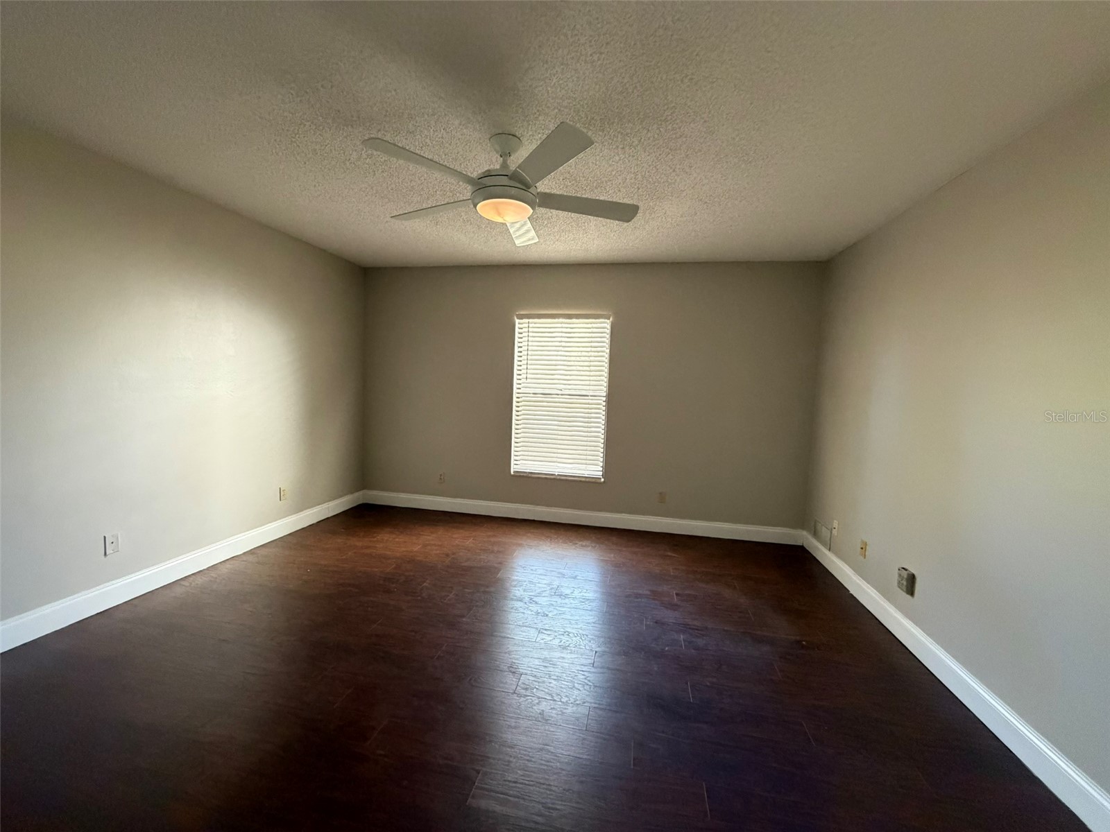 3505 Tarpon Woods Boulevard #K408 Palm Harbor FL 34685 TB8482289 image14