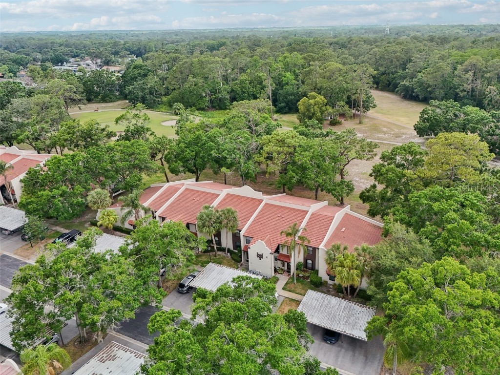 3505 Tarpon Woods Boulevard #K409 Palm Harbor FL 34685 TB8384397 image1