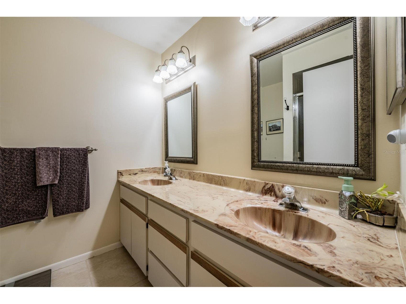 3505 Tarpon Woods Boulevard #N401 Palm Harbor FL 34685 TB8498033 image17