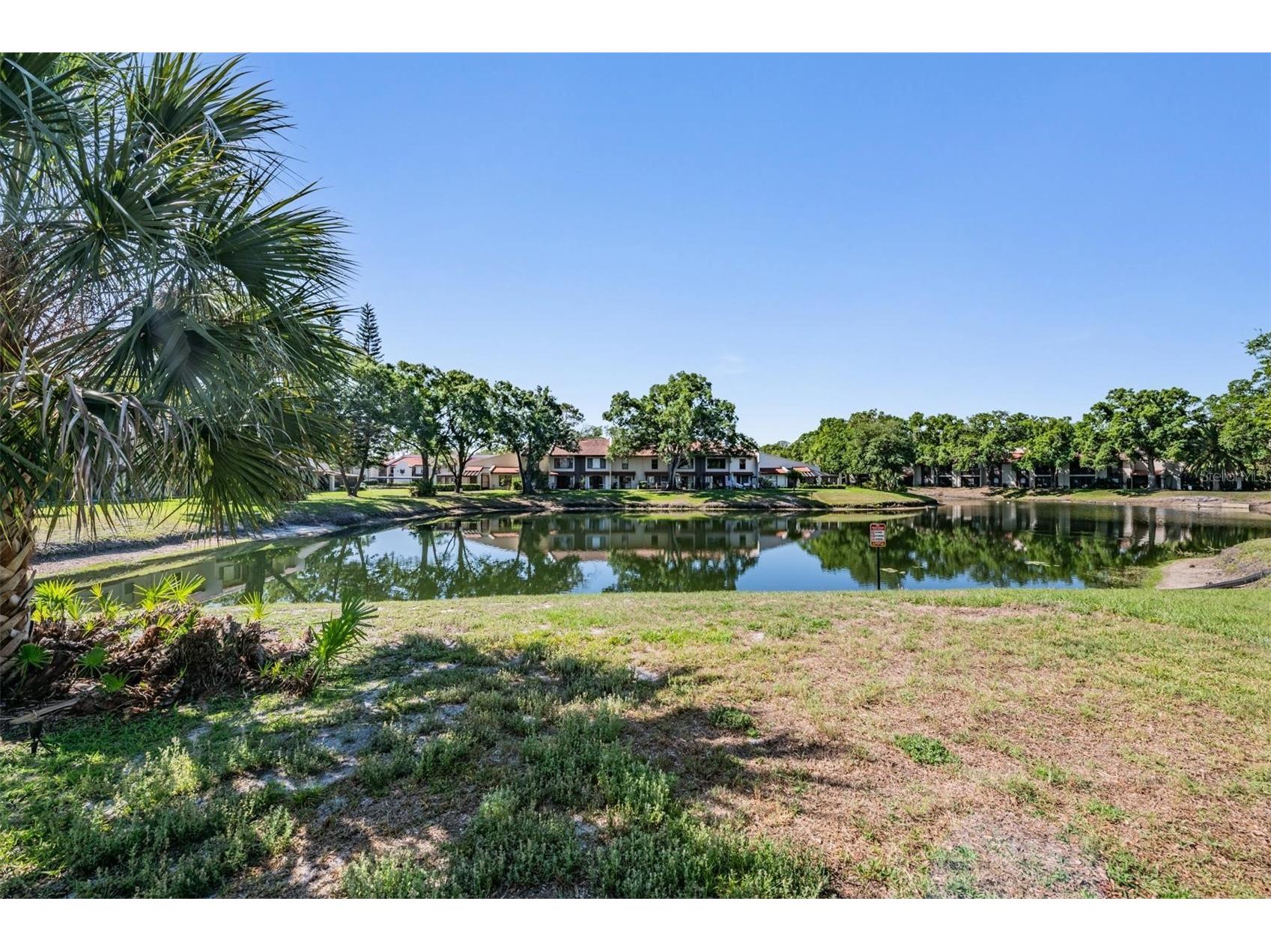 3505 Tarpon Woods Boulevard #N401 Palm Harbor FL 34685 TB8498033 image27
