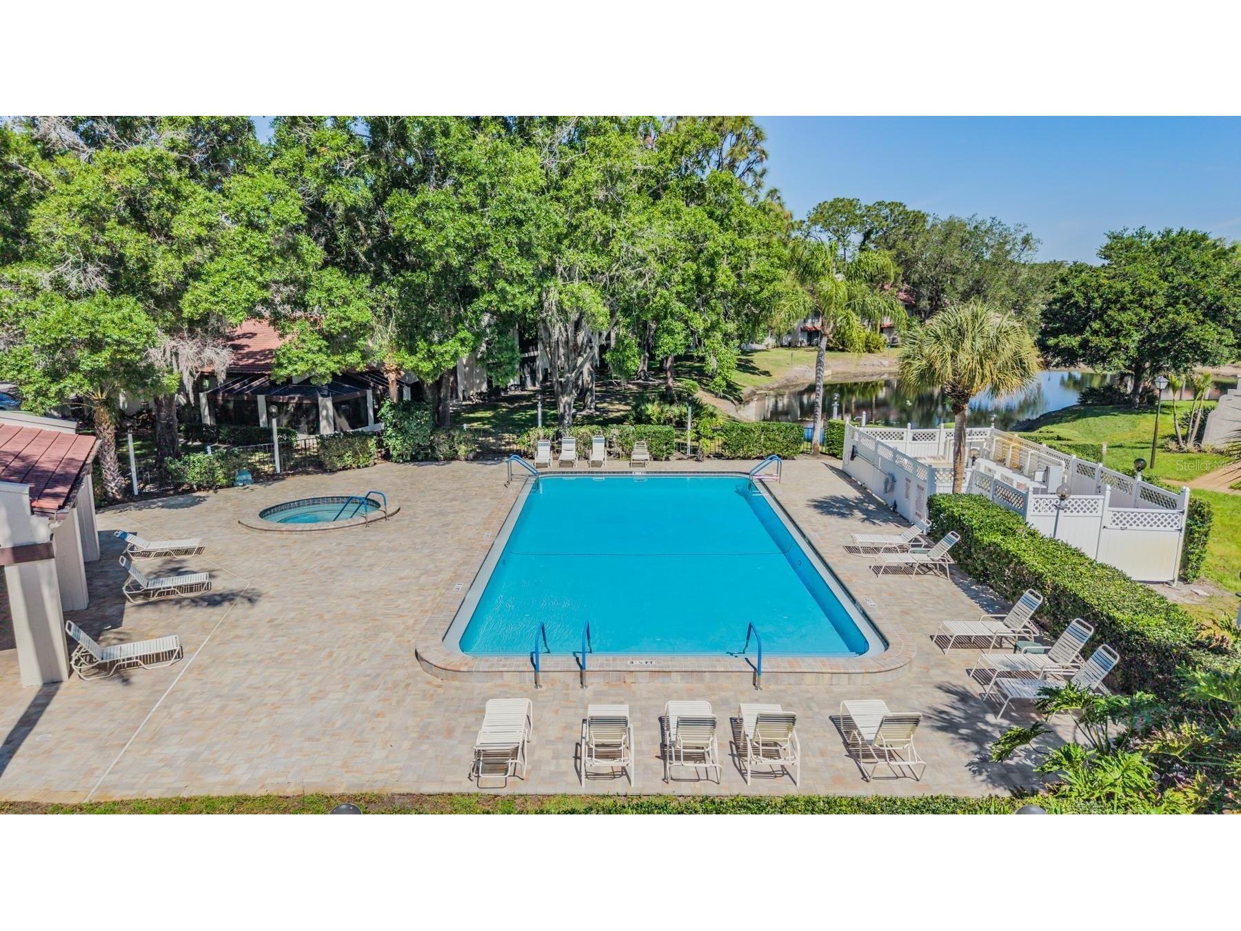 3505 Tarpon Woods Boulevard #N401 Palm Harbor FL 34685 TB8498033 image28