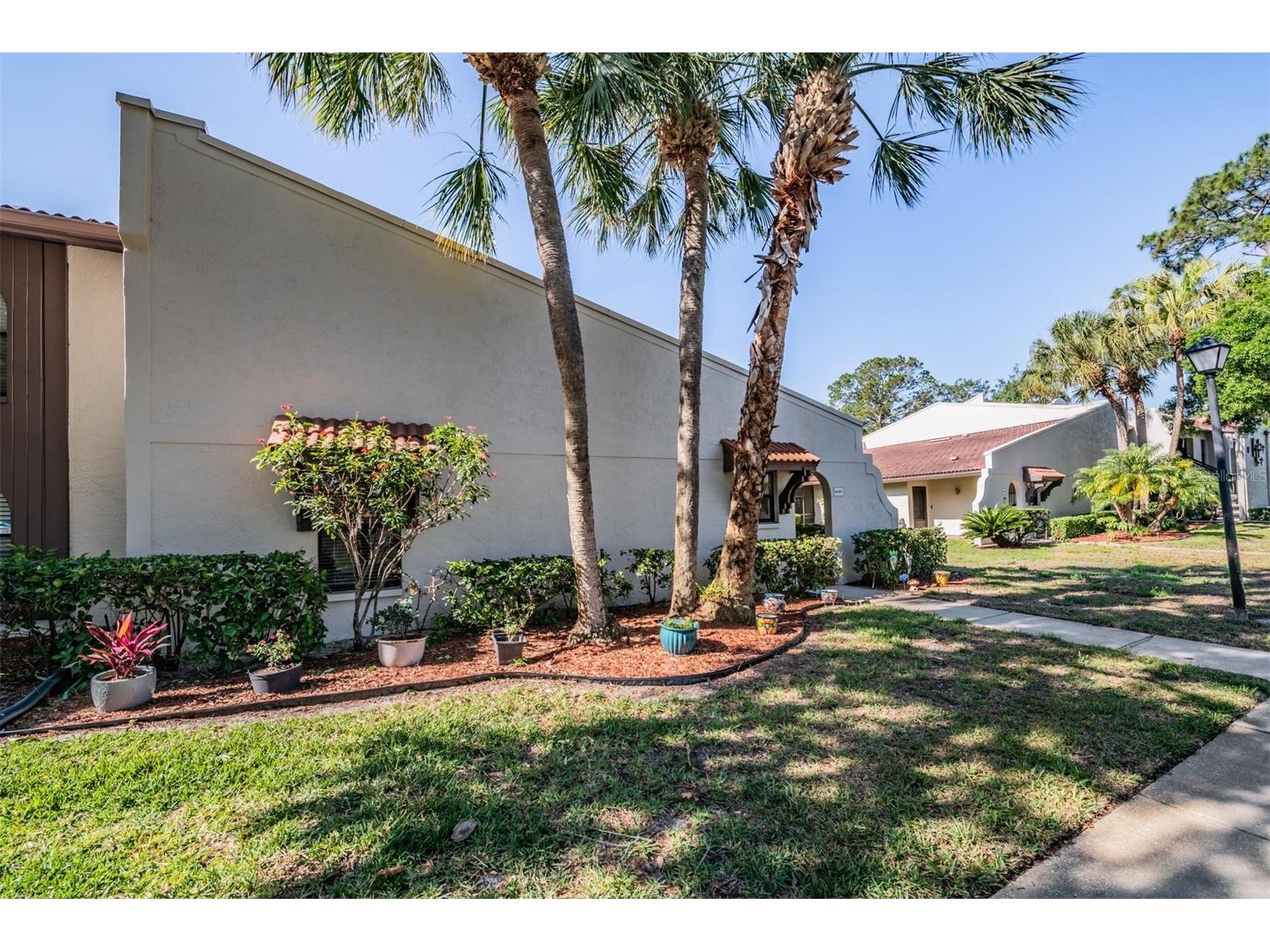 3505 Tarpon Woods Boulevard #N401 Palm Harbor FL 34685 TB8498033 image3