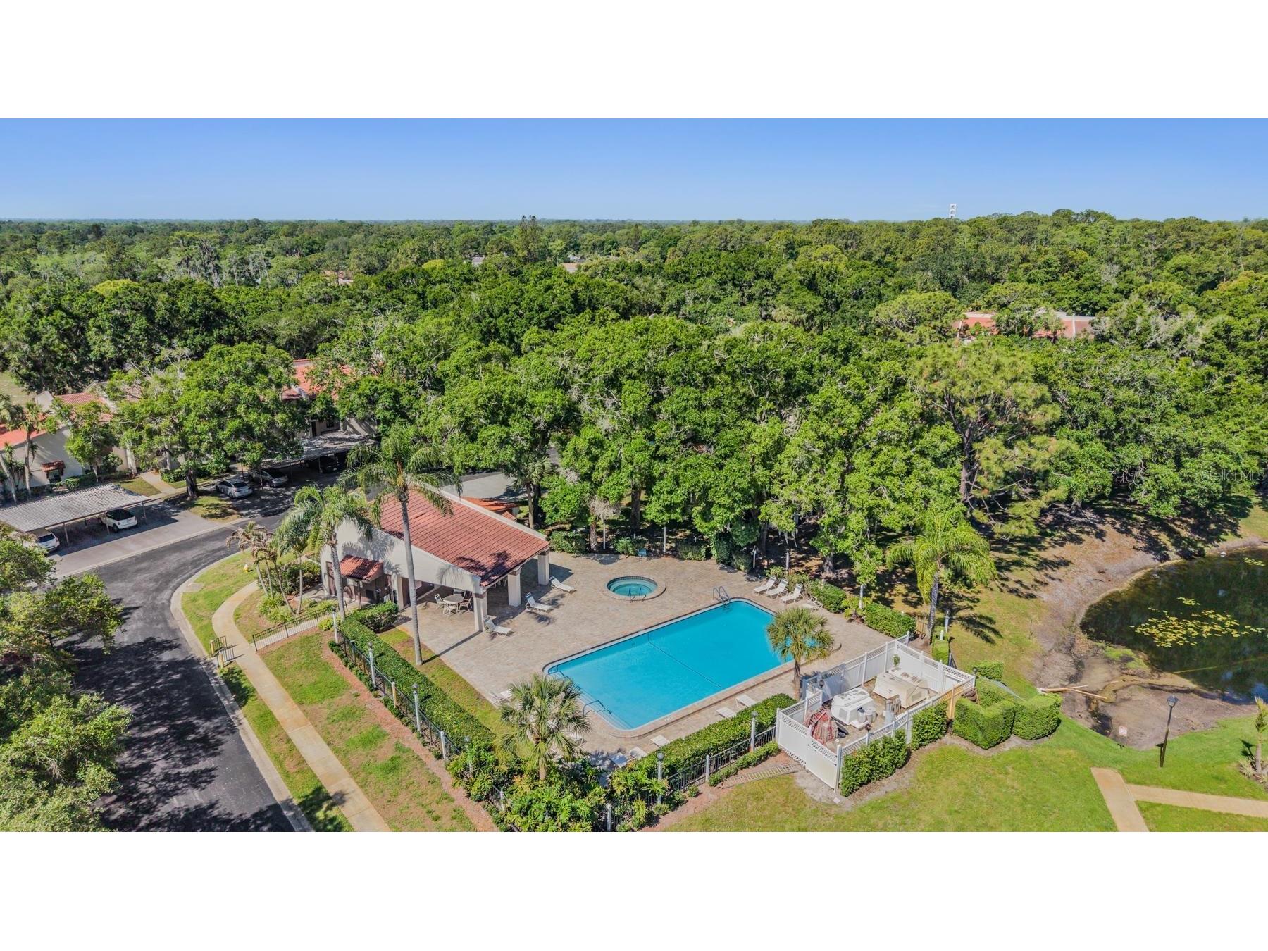 3505 Tarpon Woods Boulevard #N401 Palm Harbor FL 34685 TB8498033 image30
