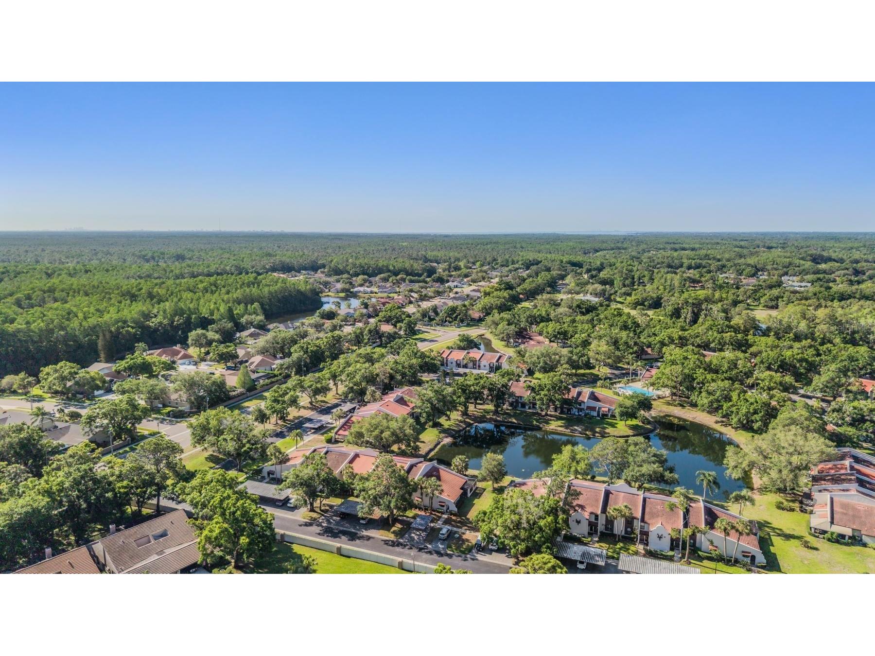 3505 Tarpon Woods Boulevard #N401 Palm Harbor FL 34685 TB8498033 image31