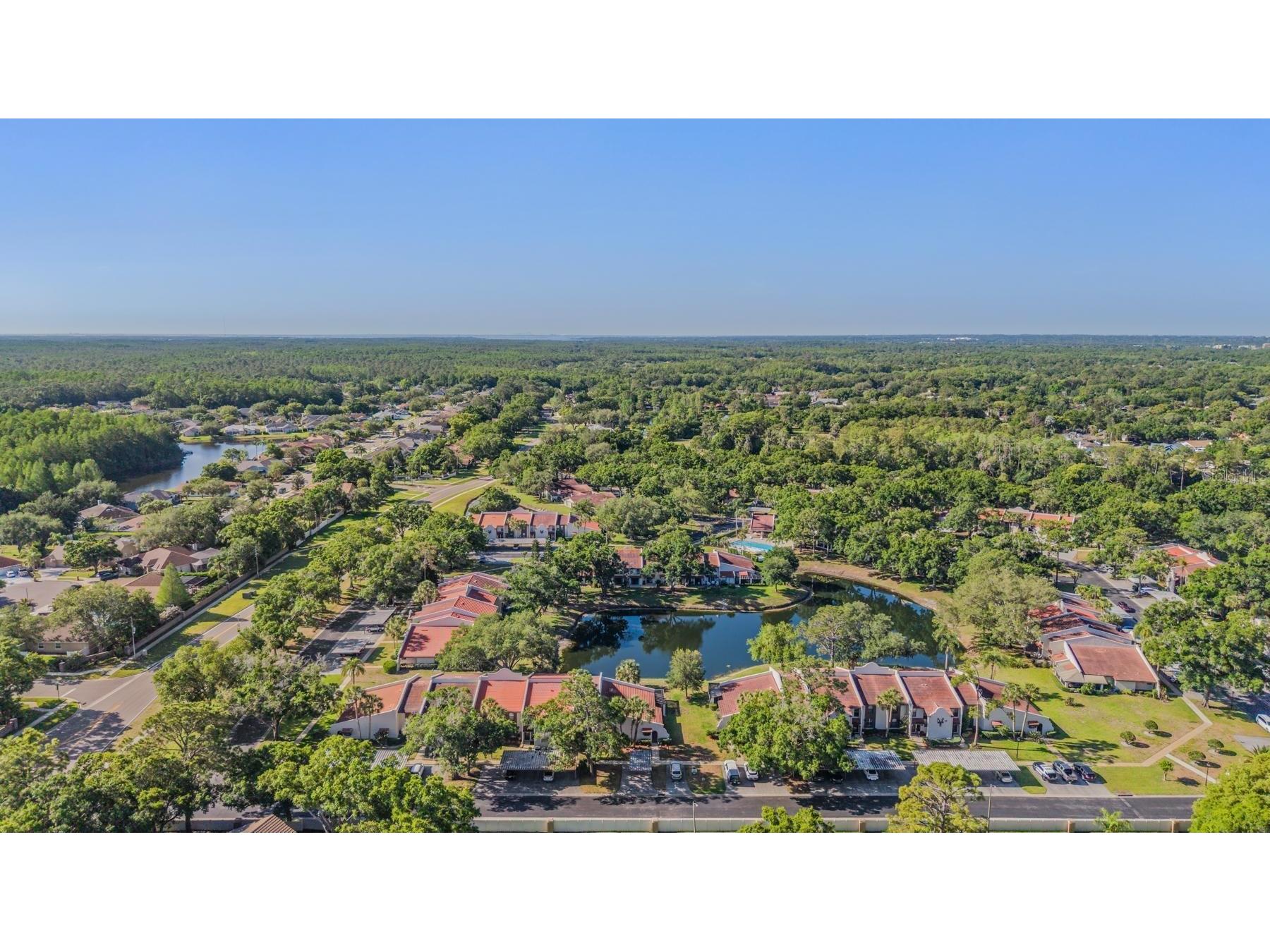 3505 Tarpon Woods Boulevard #N401 Palm Harbor FL 34685 TB8498033 image32