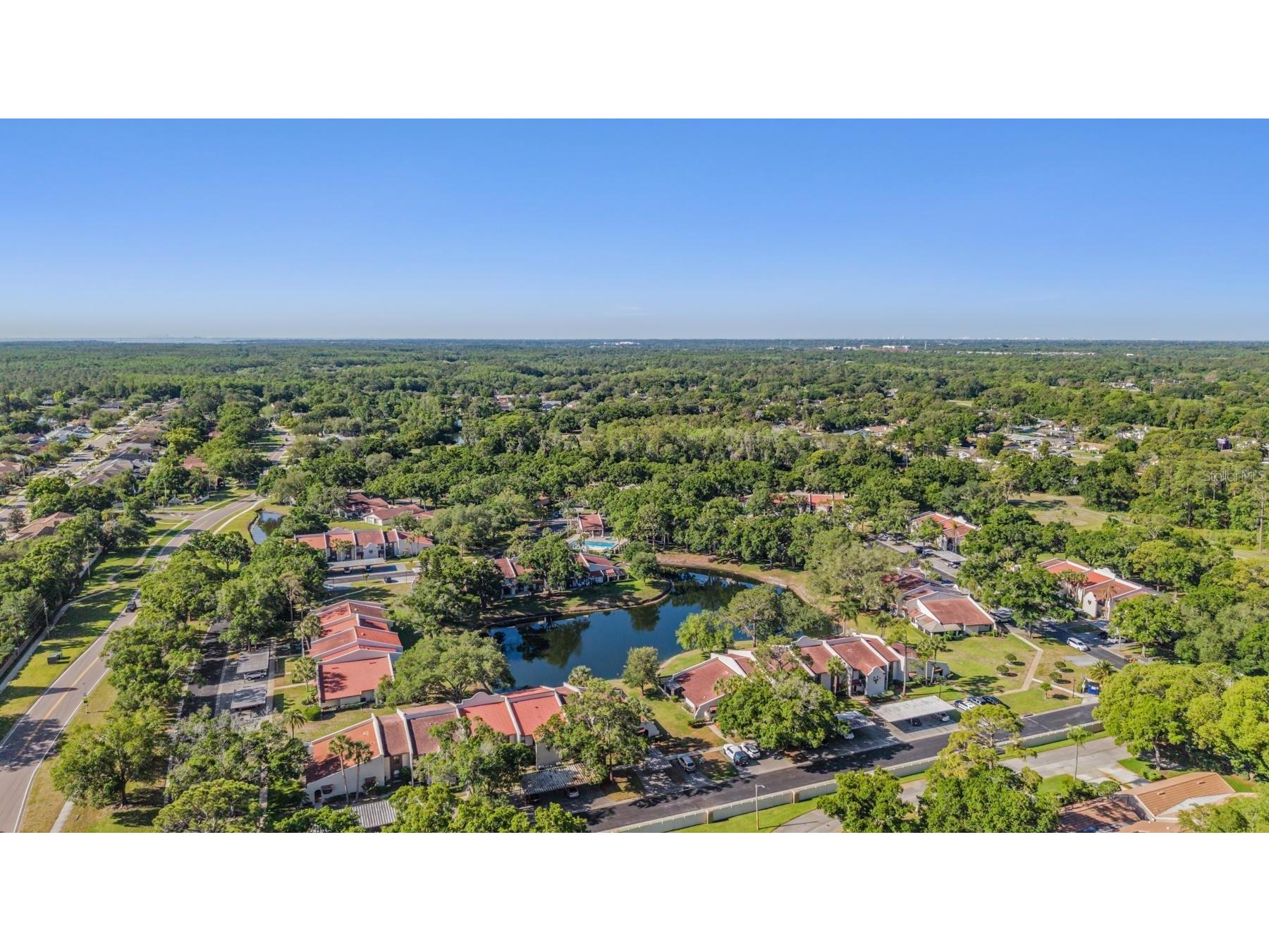 3505 Tarpon Woods Boulevard #N401 Palm Harbor FL 34685 TB8498033 image33