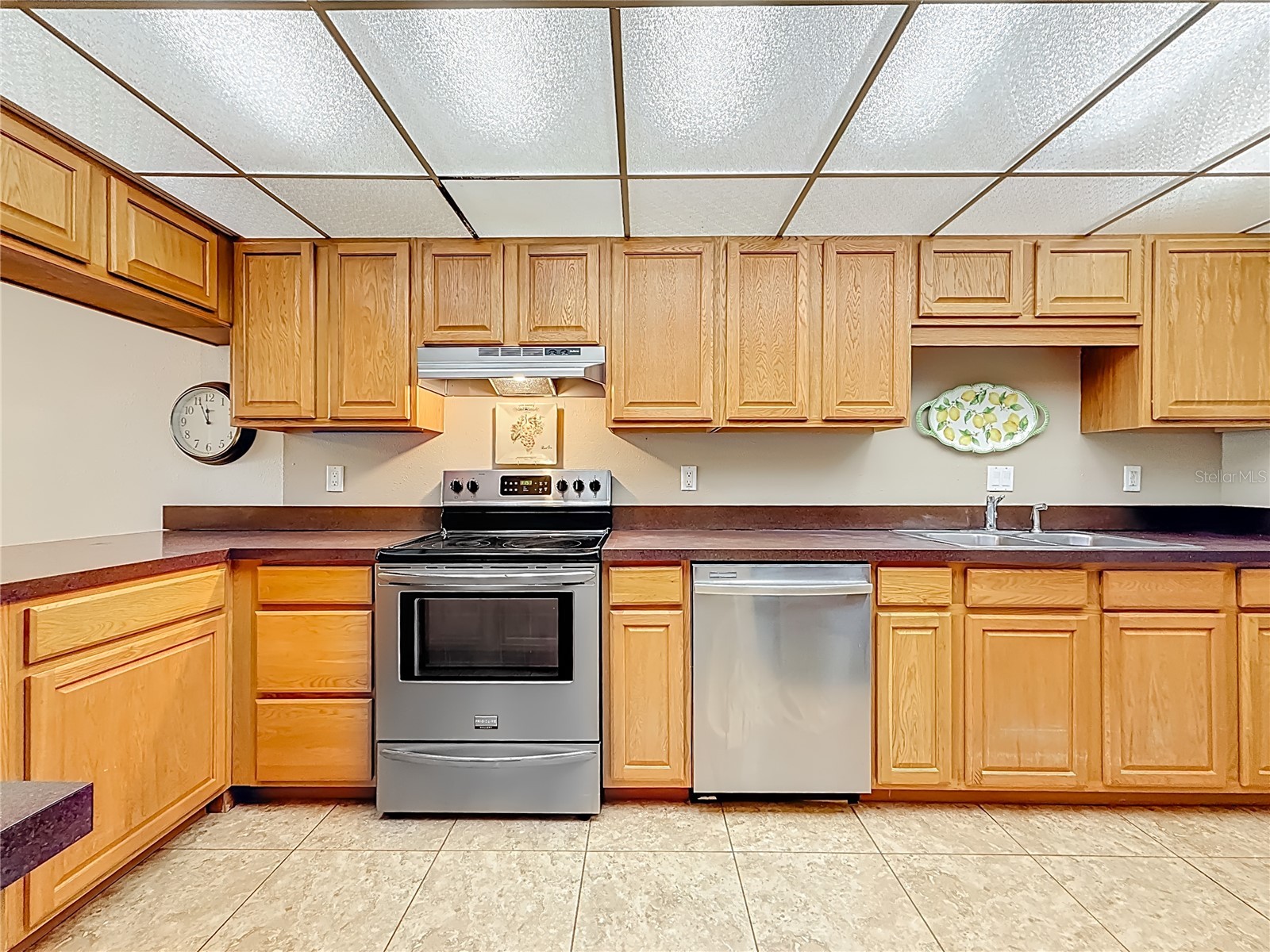 3505 Tarpon Woods Boulevard #P403 Palm Harbor FL 34685 W7884507 image15