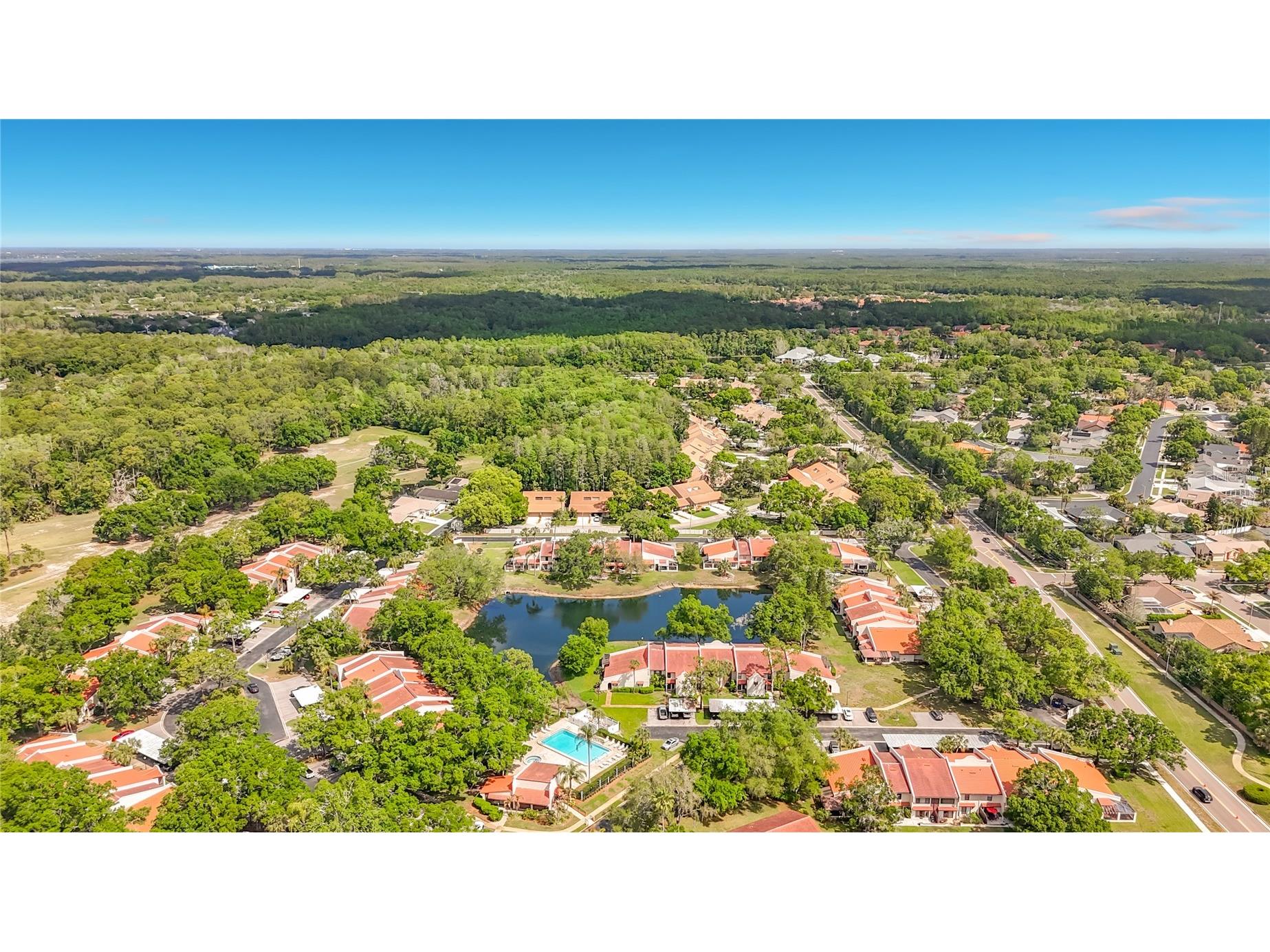 3505 Tarpon Woods Boulevard #P403 Palm Harbor FL 34685 W7884507 image2