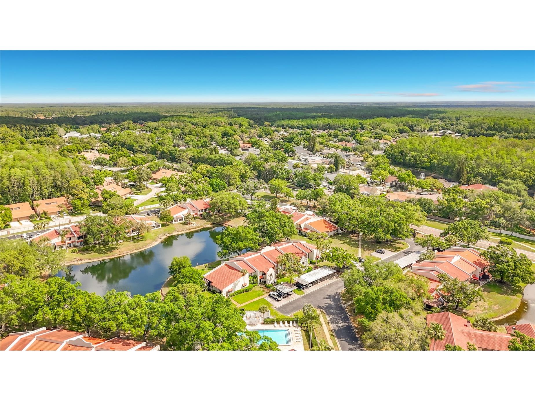 3505 Tarpon Woods Boulevard #P403 Palm Harbor FL 34685 W7884507 image3