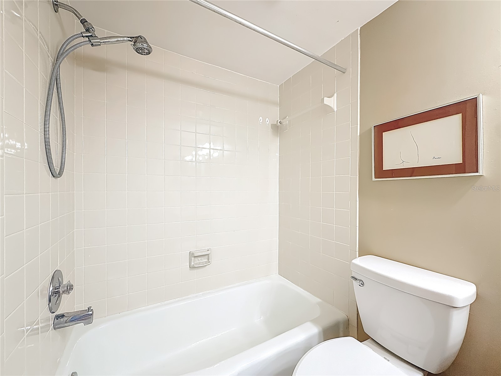 3505 Tarpon Woods Boulevard #P403 Palm Harbor FL 34685 W7884507 image30