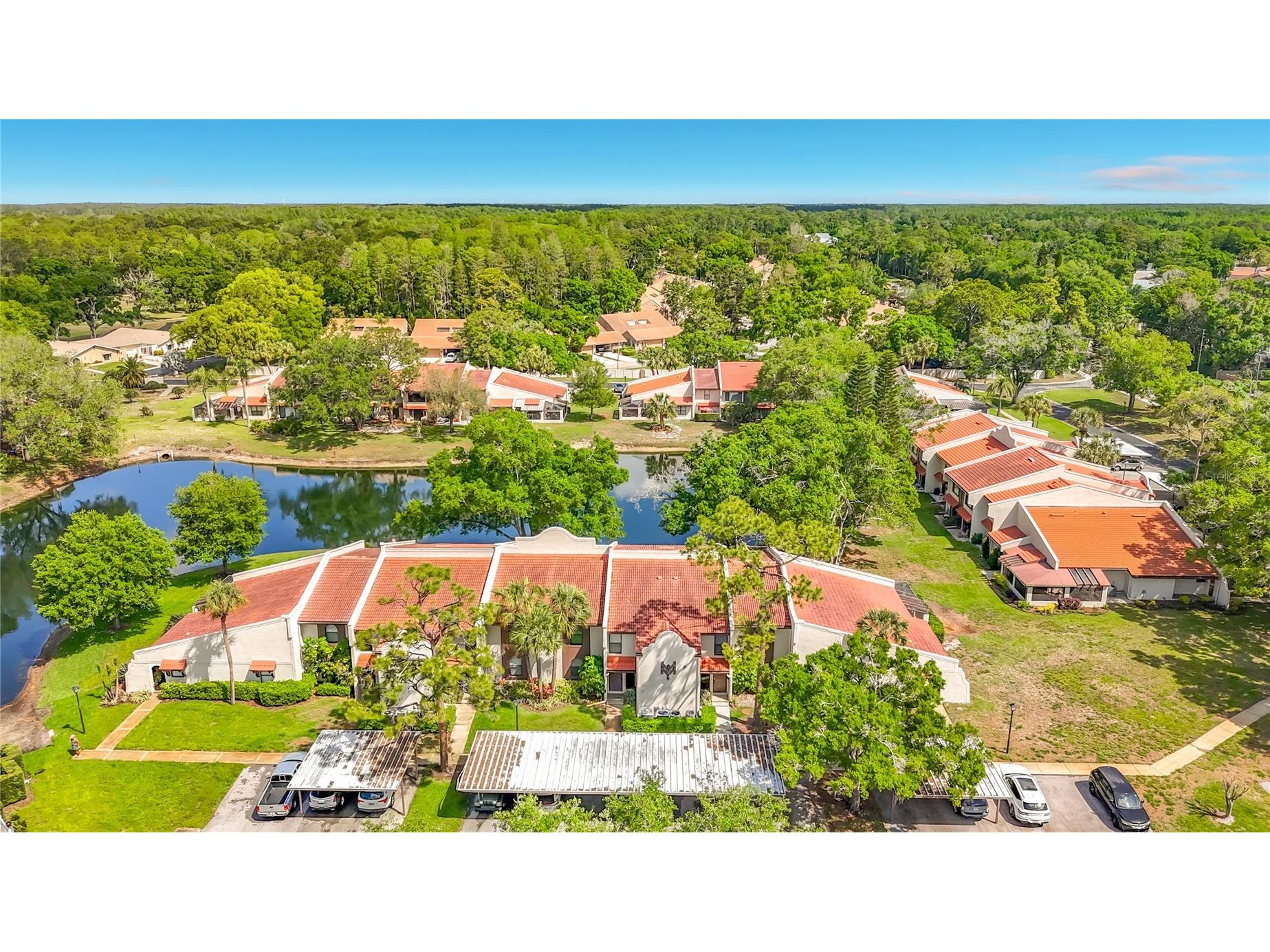 3505 Tarpon Woods Boulevard #P403 Palm Harbor FL 34685 W7884507 image4