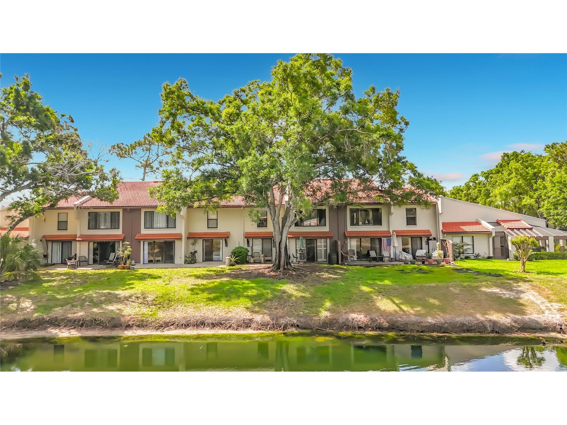 3505 Tarpon Woods Boulevard #P403 Palm Harbor FL 34685 W7884507 image46