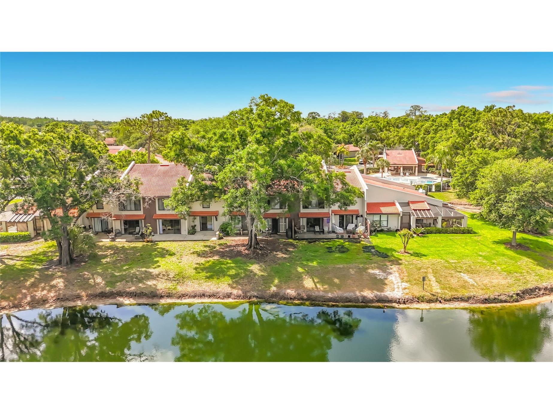 3505 Tarpon Woods Boulevard #P403 Palm Harbor FL 34685 W7884507 image47