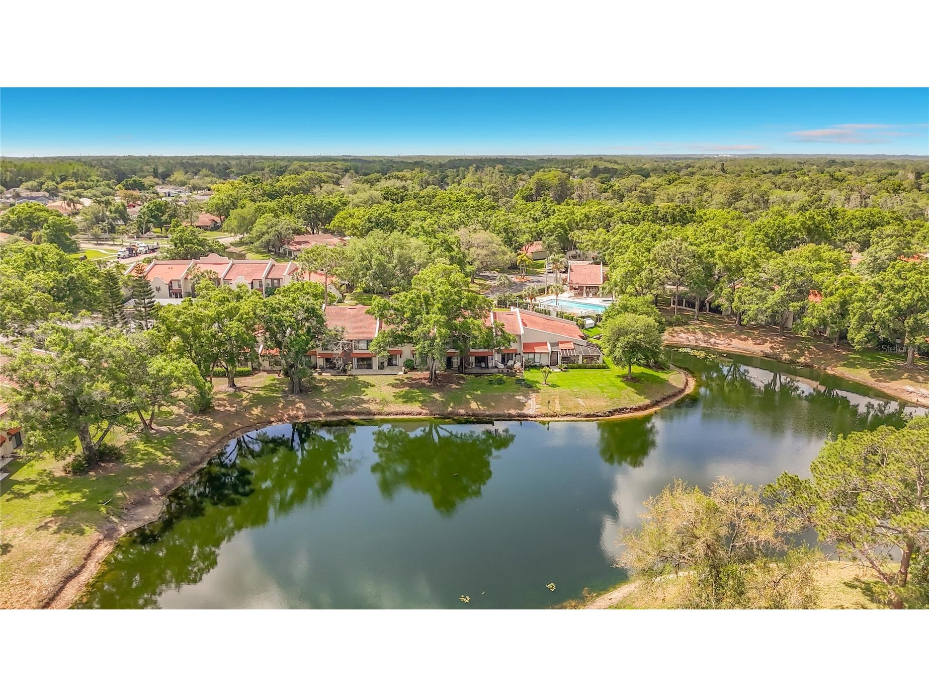 3505 Tarpon Woods Boulevard #P403 Palm Harbor FL 34685 W7884507 image48