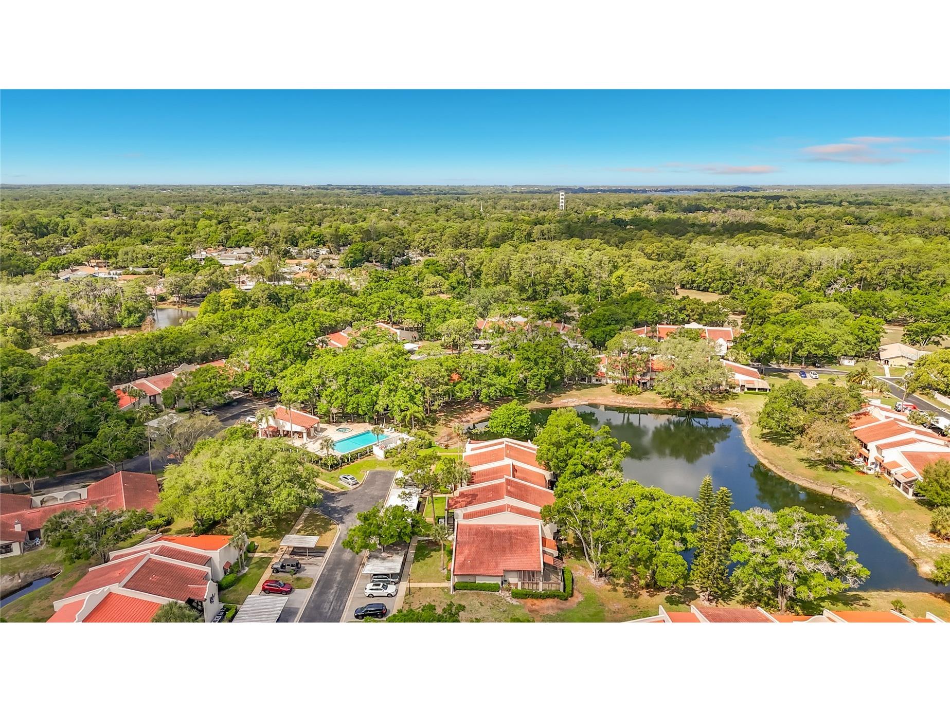 3505 Tarpon Woods Boulevard #P403 Palm Harbor FL 34685 W7884507 image49