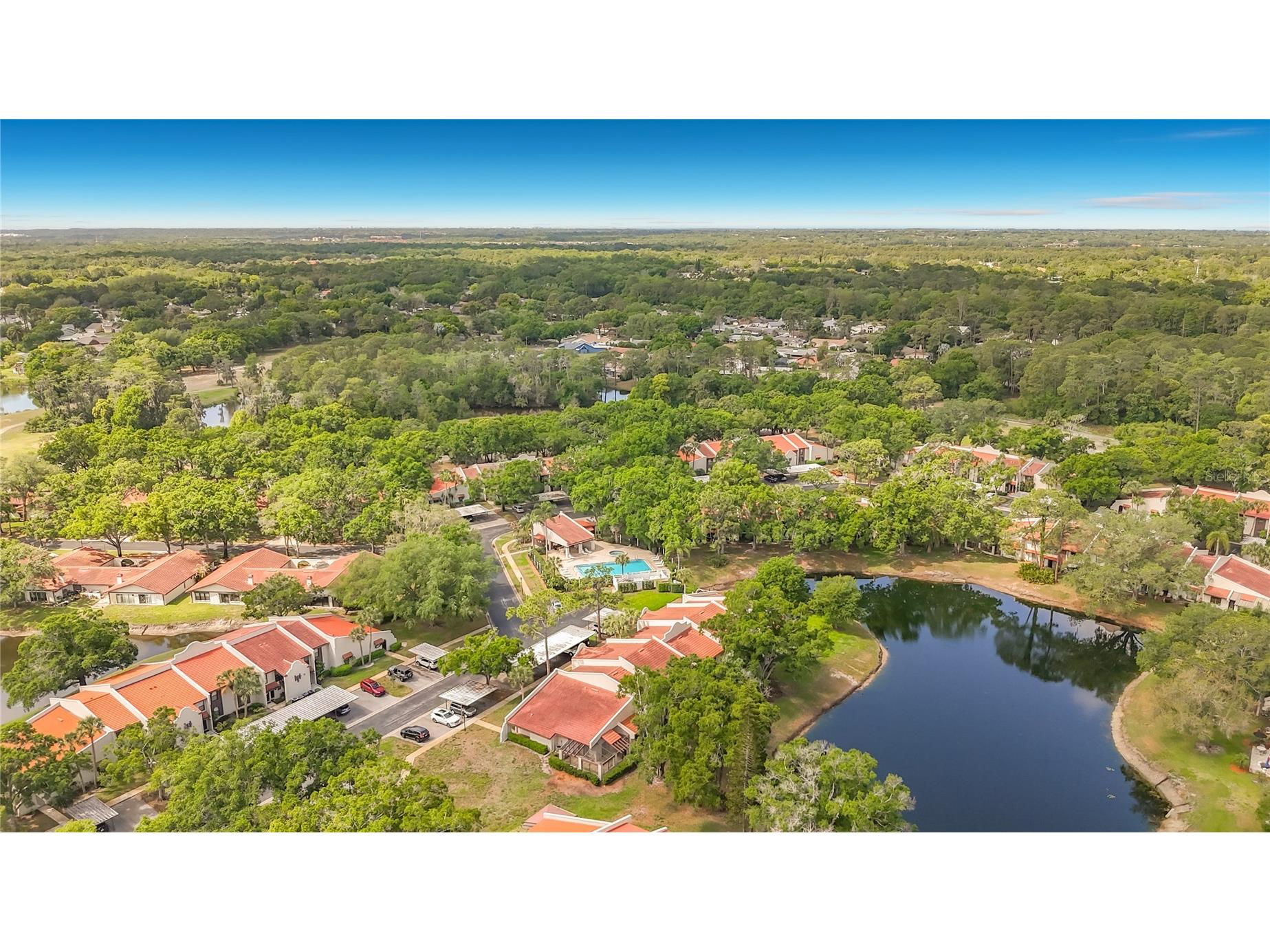 3505 Tarpon Woods Boulevard #P403 Palm Harbor FL 34685 W7884507 image50
