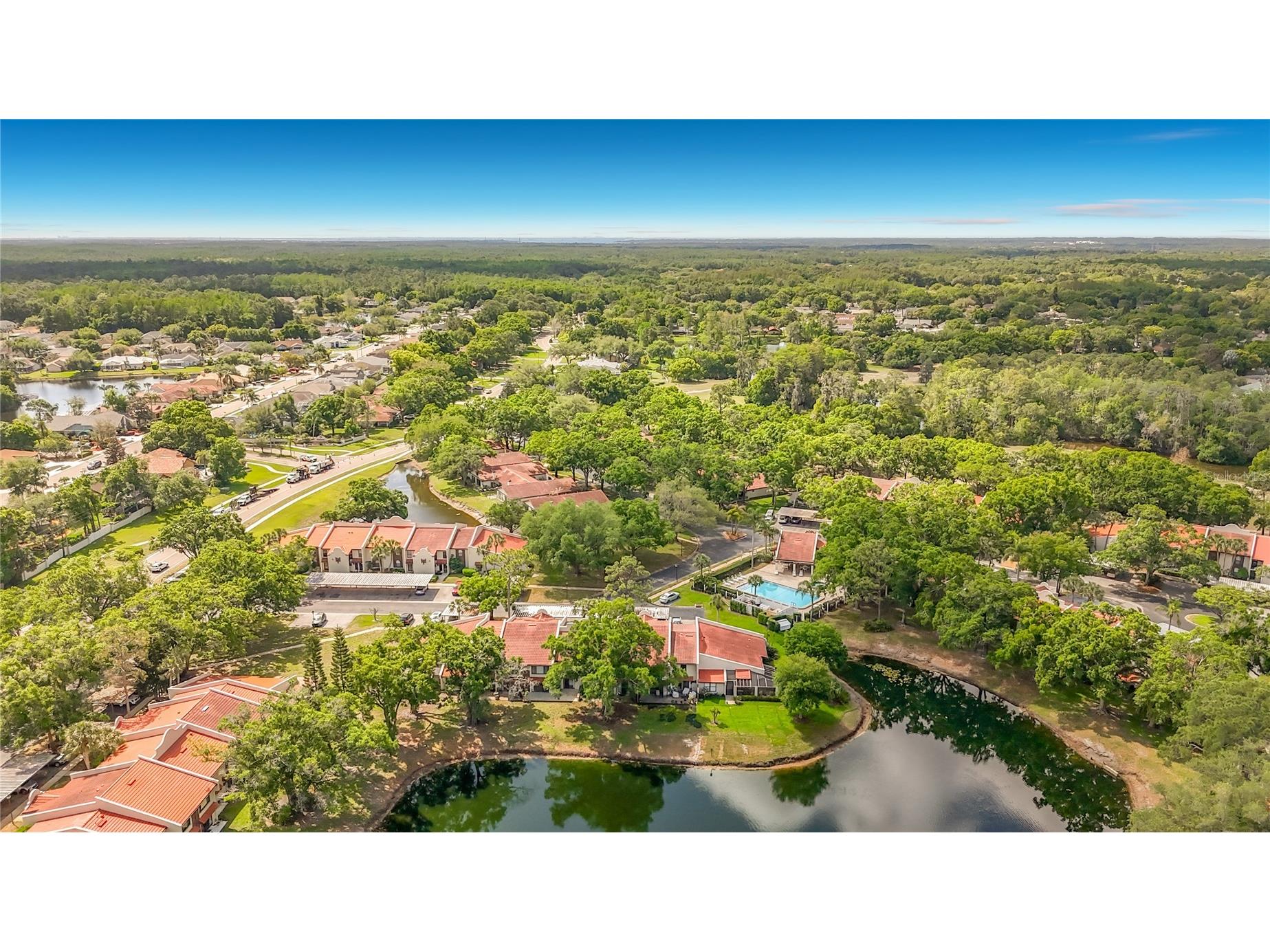 3505 Tarpon Woods Boulevard #P403 Palm Harbor FL 34685 W7884507 image51
