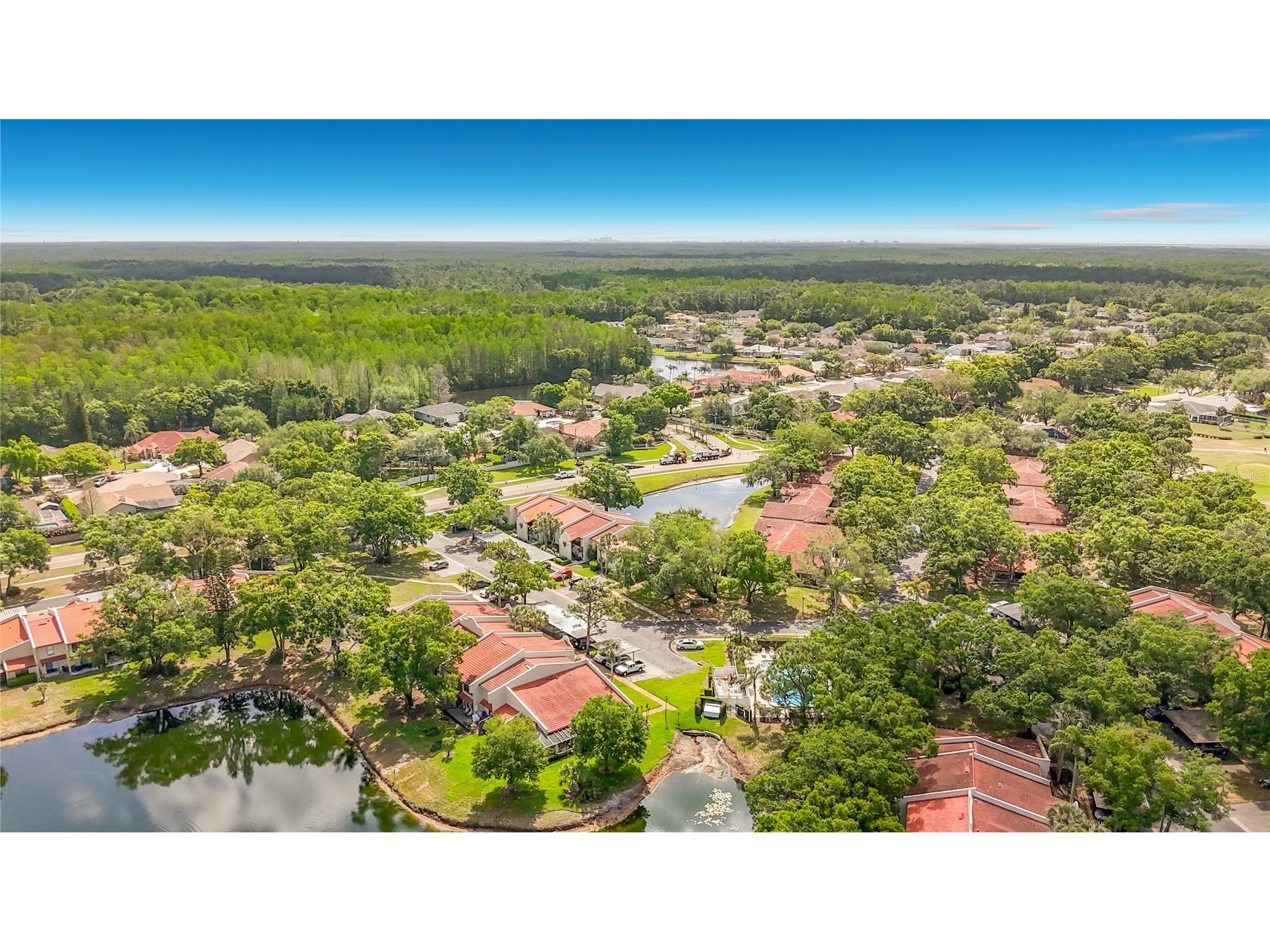 3505 Tarpon Woods Boulevard #P403 Palm Harbor FL 34685 W7884507 image52