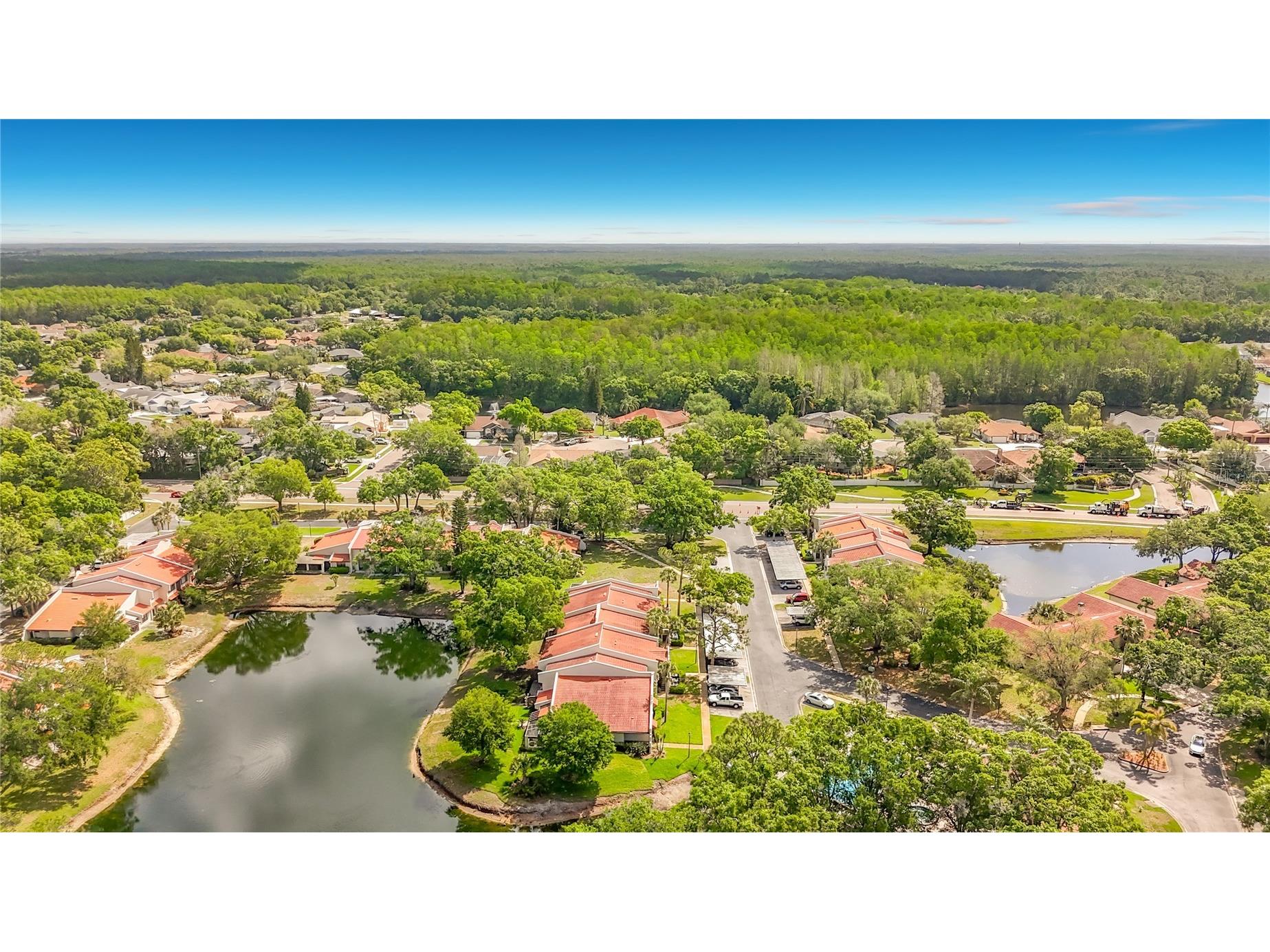 3505 Tarpon Woods Boulevard #P403 Palm Harbor FL 34685 W7884507 image53