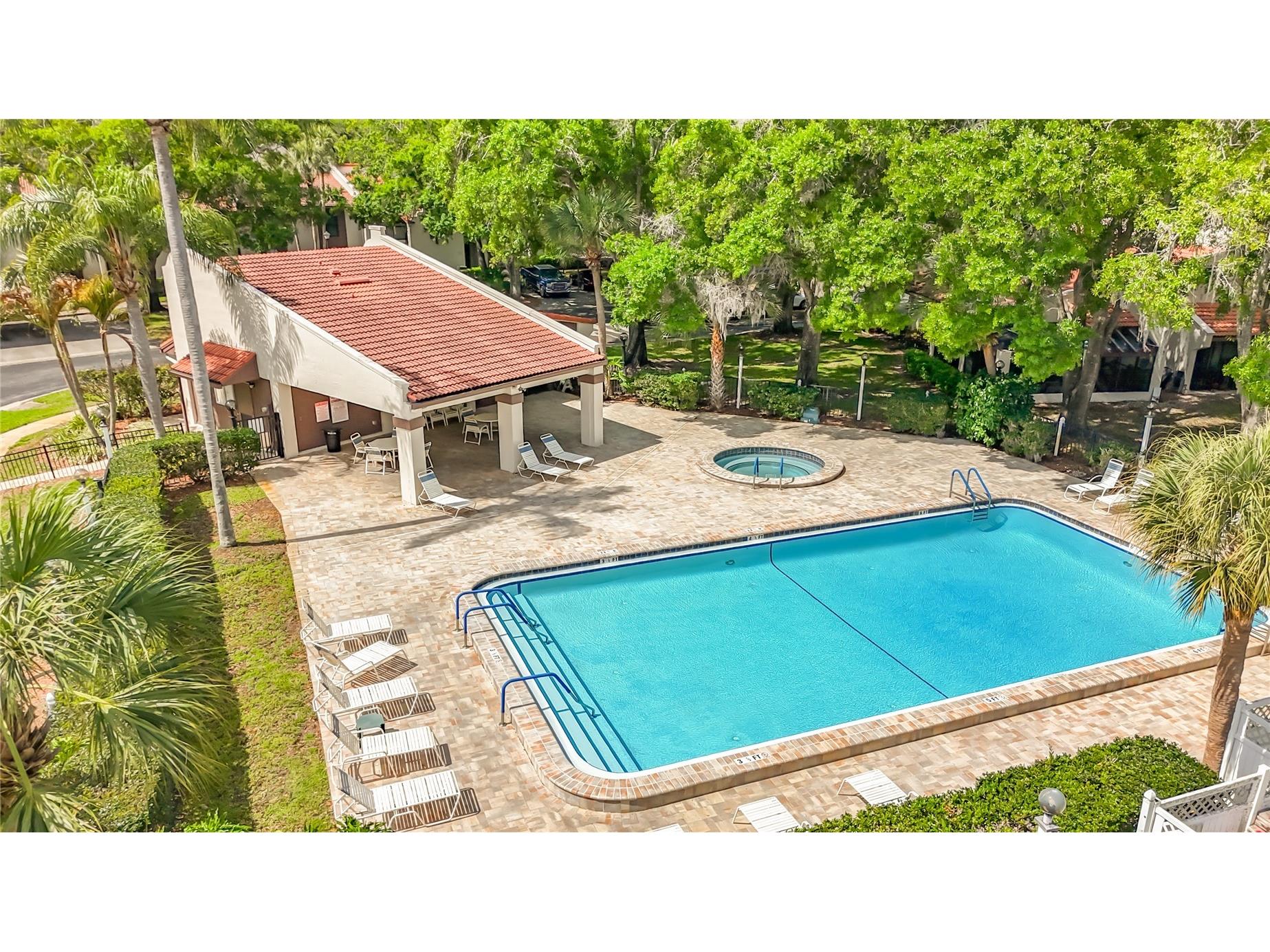 3505 Tarpon Woods Boulevard #P403 Palm Harbor FL 34685 W7884507 image54