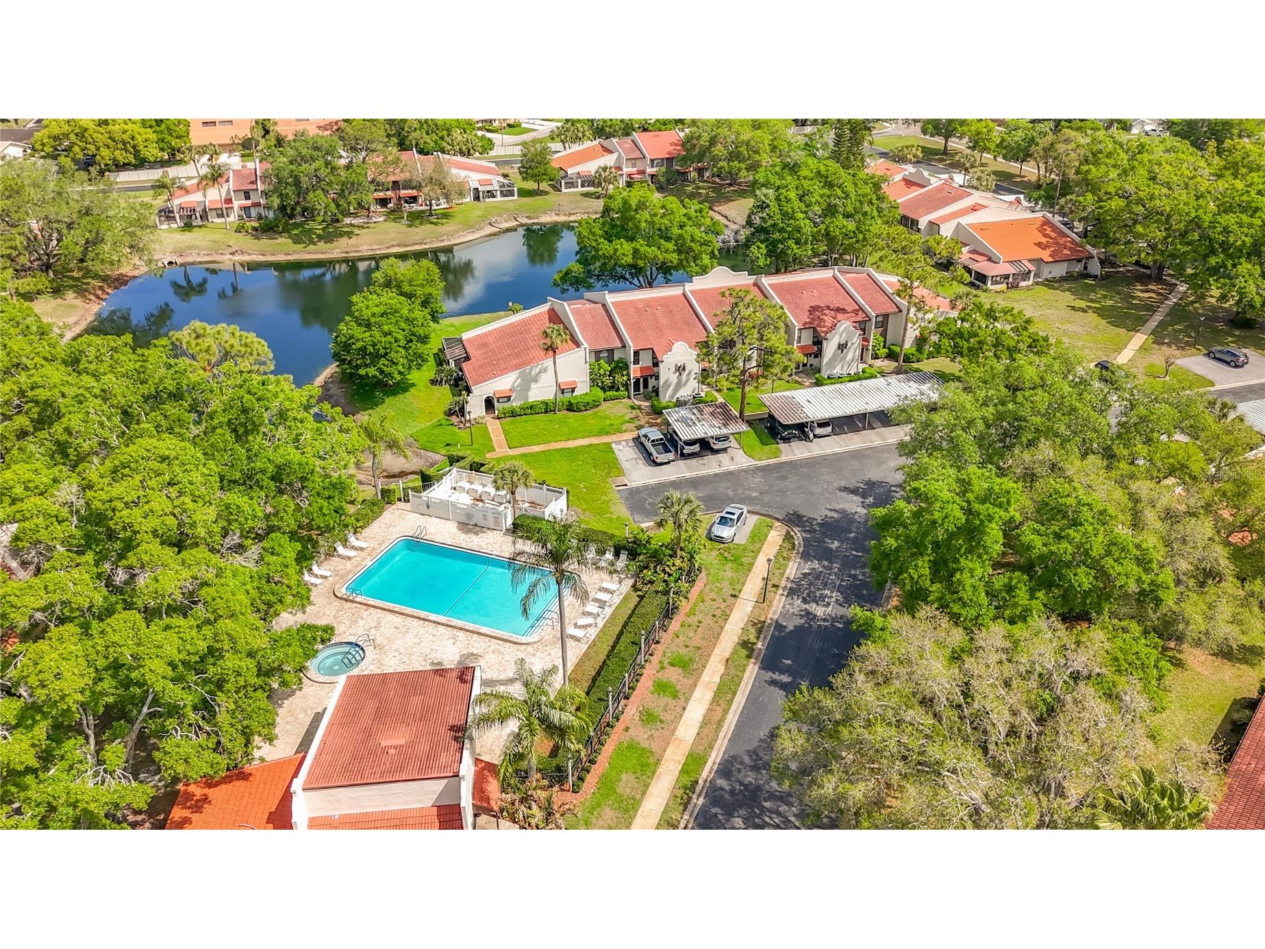 3505 Tarpon Woods Boulevard #P403 Palm Harbor FL 34685 W7884507 image56