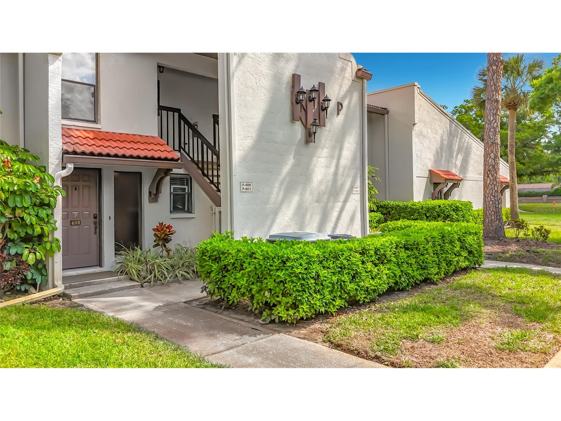 3505 Tarpon Woods Boulevard #P403 Palm Harbor FL 34685 W7884507 image6