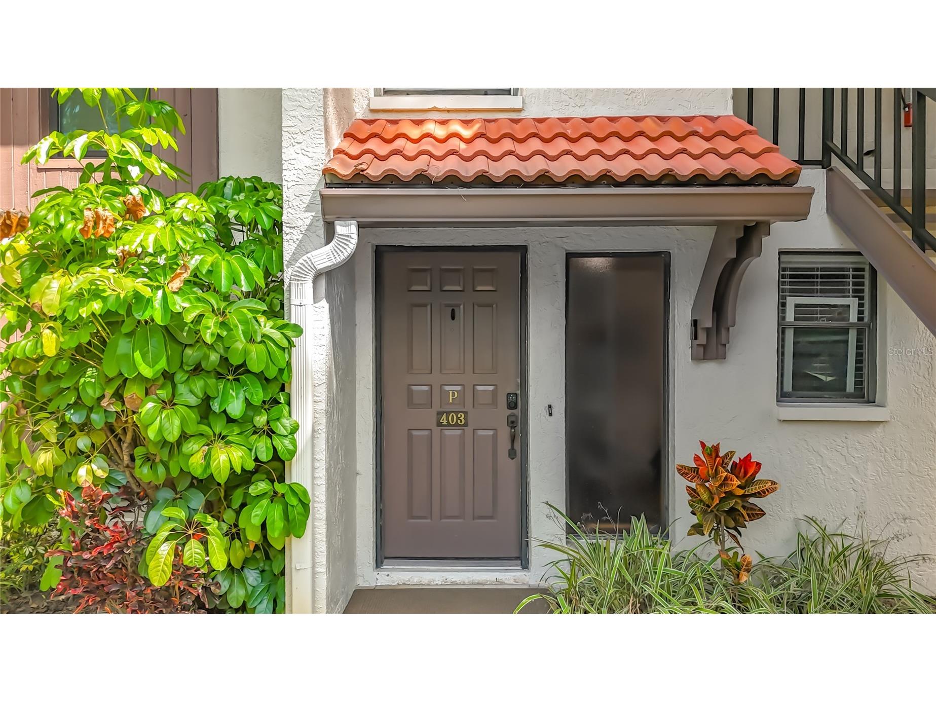 3505 Tarpon Woods Boulevard #P403 Palm Harbor FL 34685 W7884507 image8