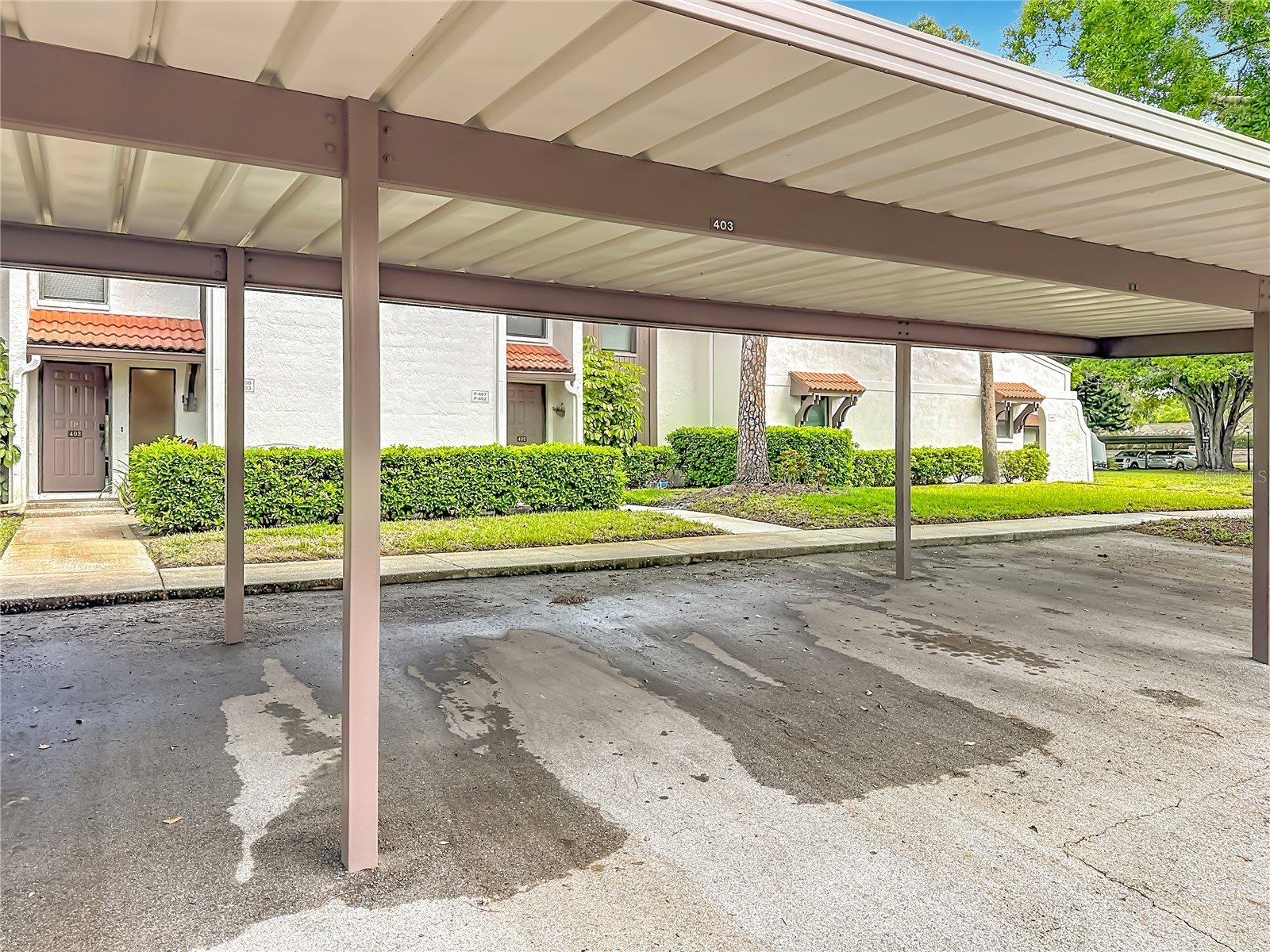 3505 Tarpon Woods Boulevard #P403 Palm Harbor FL 34685 W7884507 image9