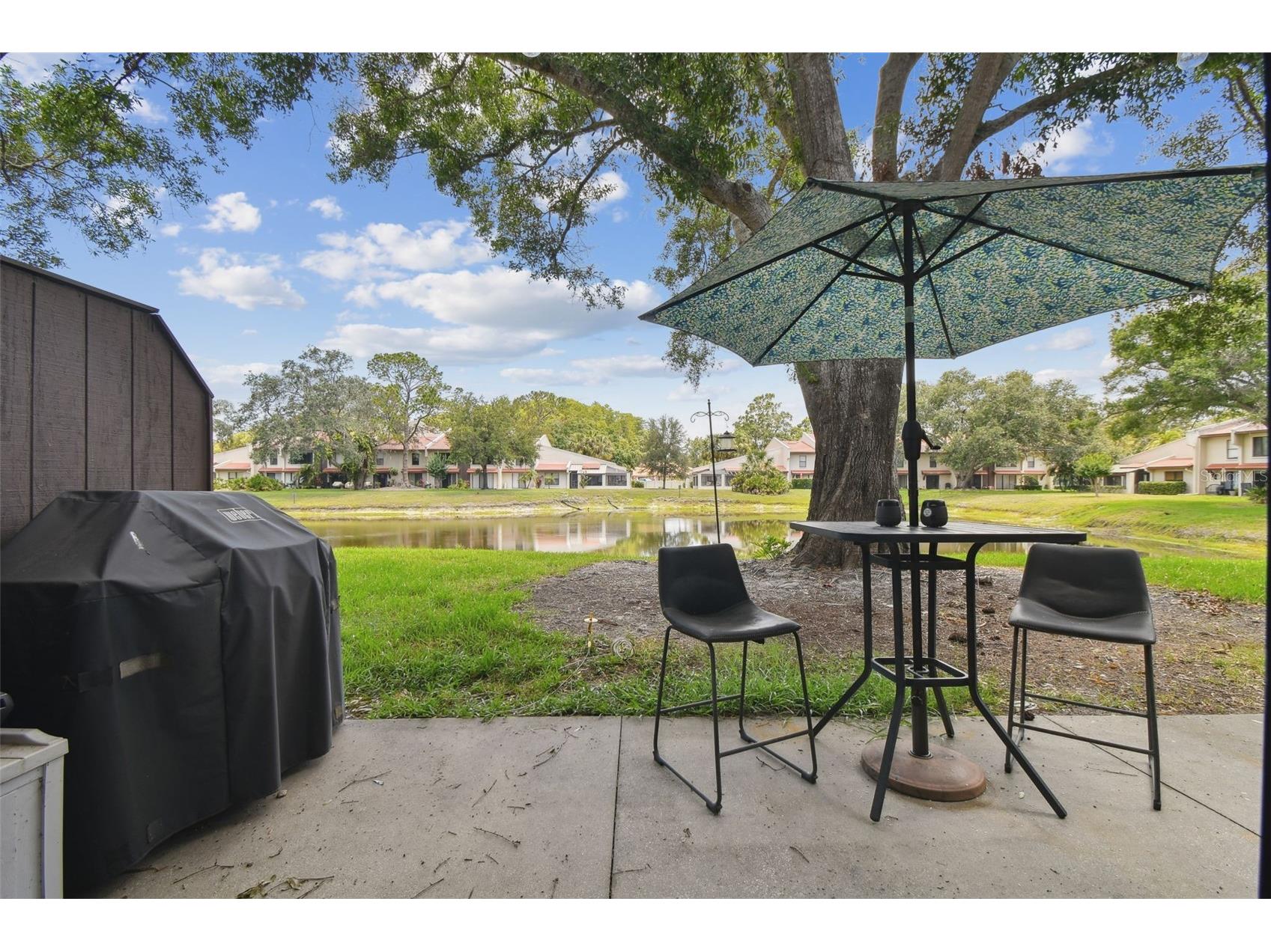 3505 Tarpon Woods Boulevard #P404 Palm Harbor FL 34685 TB8499496 image41