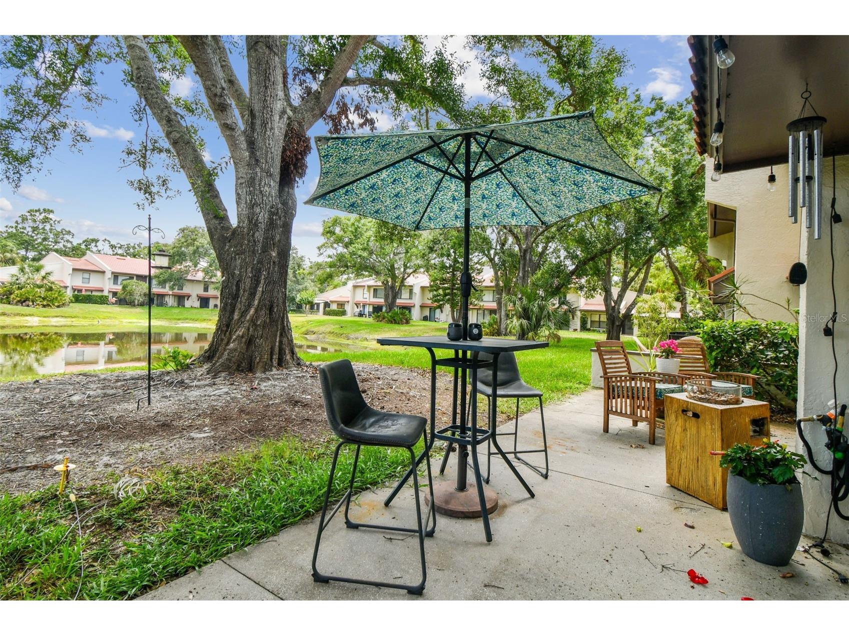 3505 Tarpon Woods Boulevard #P404 Palm Harbor FL 34685 TB8499496 image42