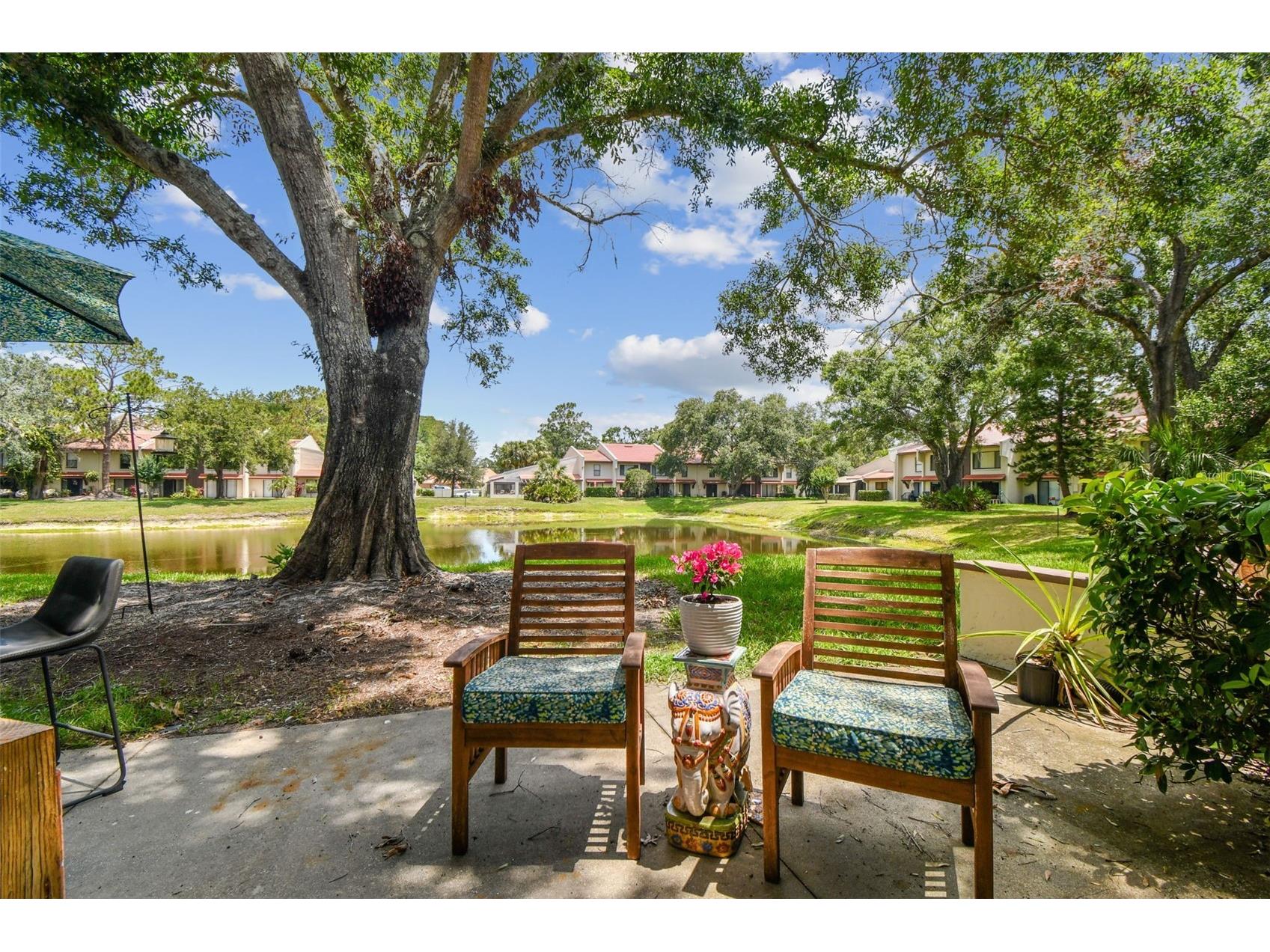 3505 Tarpon Woods Boulevard #P404 Palm Harbor FL 34685 TB8499496 image45