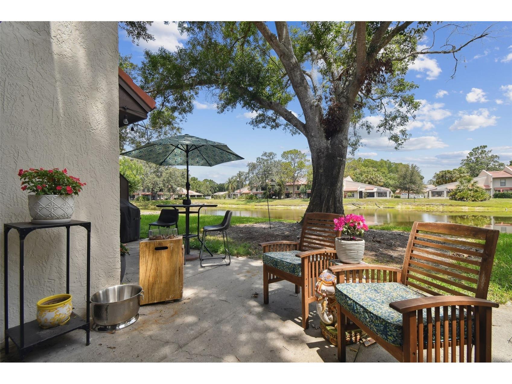 3505 Tarpon Woods Boulevard #P404 Palm Harbor FL 34685 TB8499496 image46