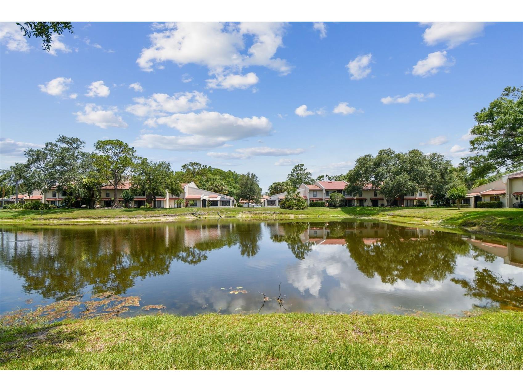 3505 Tarpon Woods Boulevard #P404 Palm Harbor FL 34685 TB8499496 image47