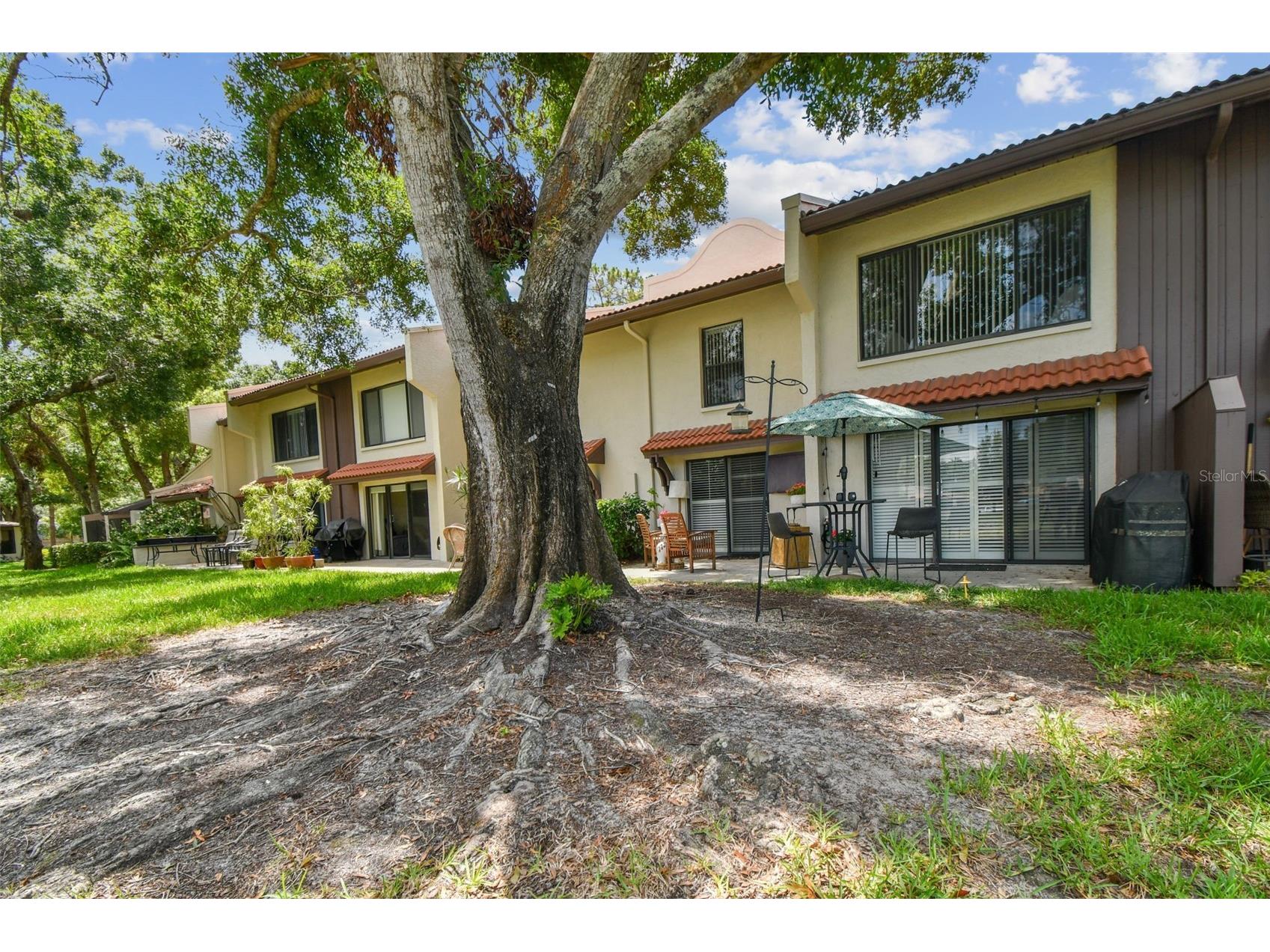 3505 Tarpon Woods Boulevard #P404 Palm Harbor FL 34685 TB8499496 image48