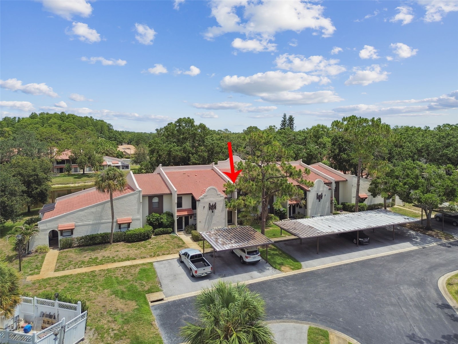 3505 Tarpon Woods Boulevard #P404 Palm Harbor FL 34685 TB8499496 image49