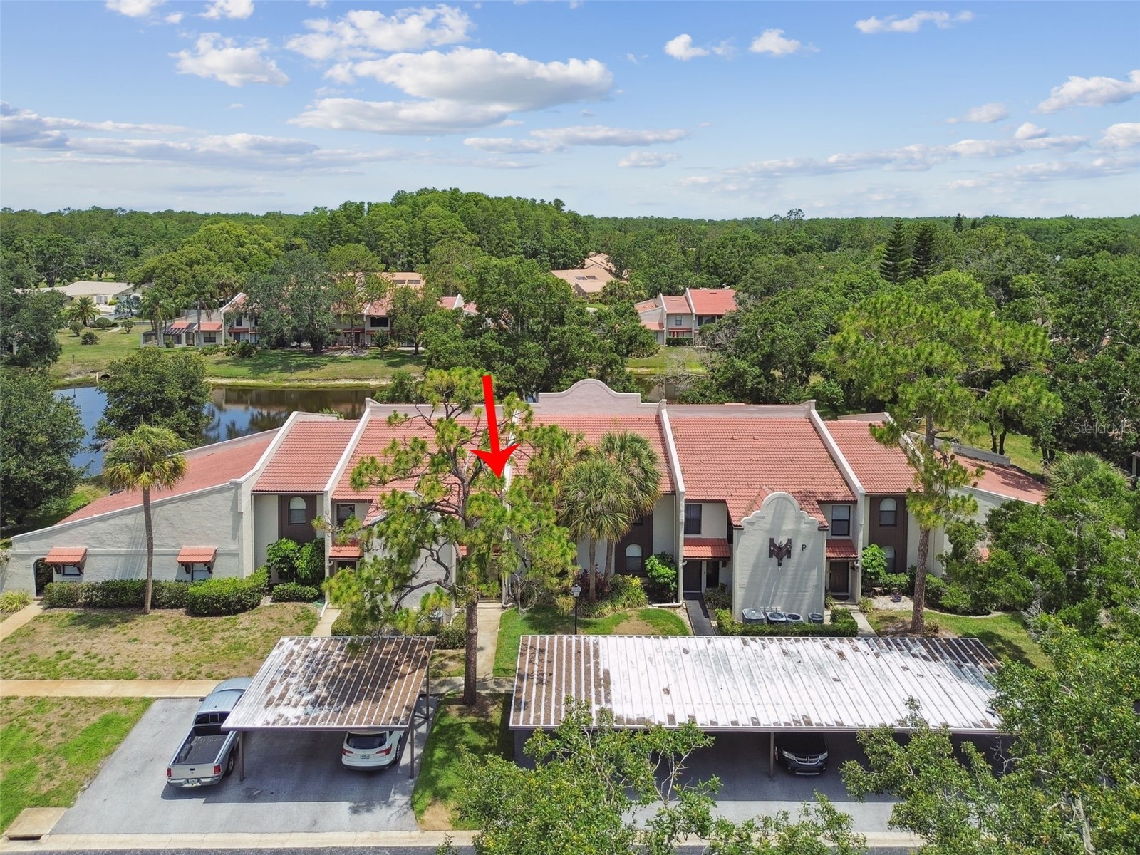 3505 Tarpon Woods Boulevard #P404 Palm Harbor FL 34685 TB8499496 image50