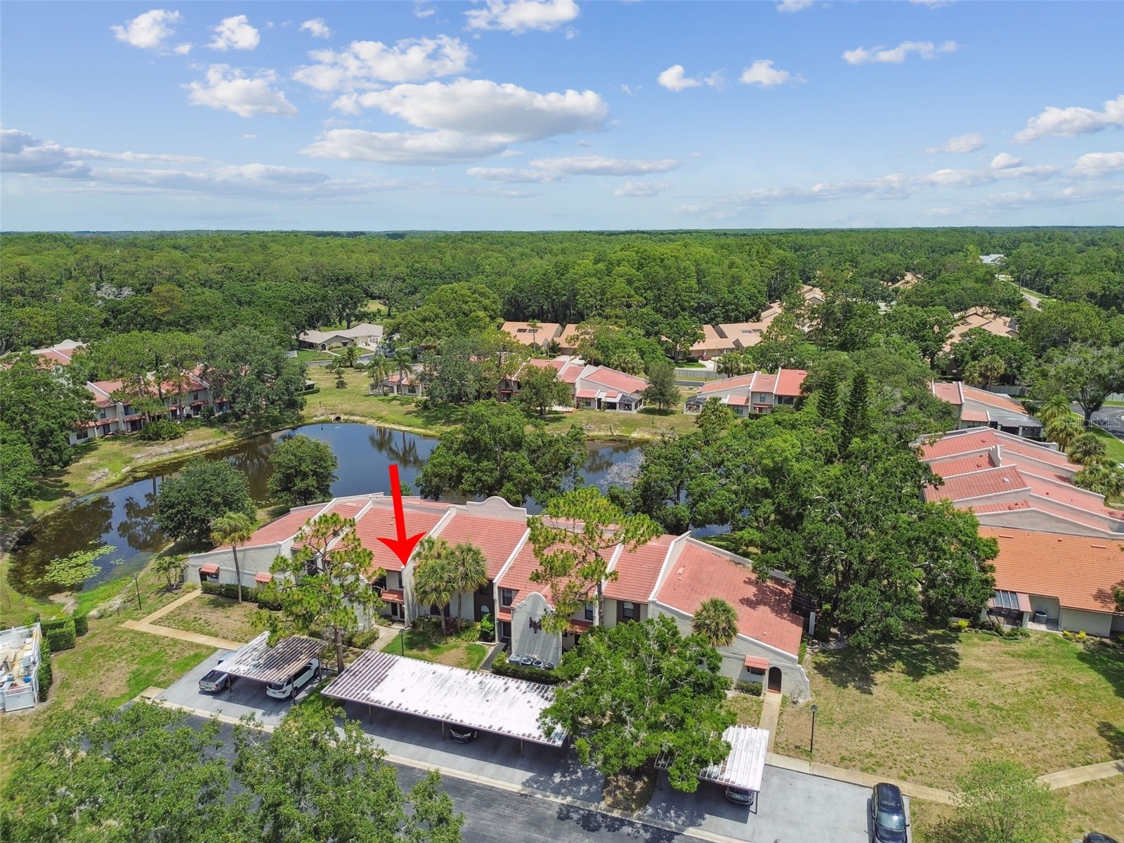 3505 Tarpon Woods Boulevard #P404 Palm Harbor FL 34685 TB8499496 image51