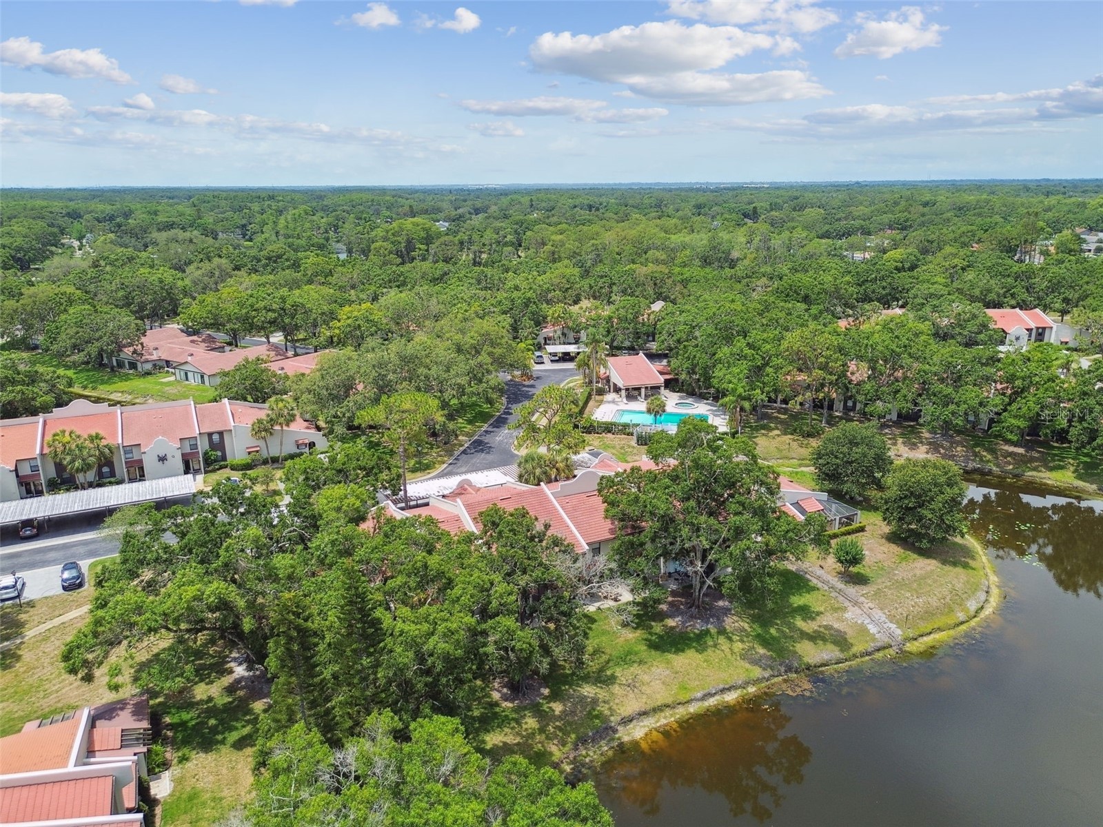 3505 Tarpon Woods Boulevard #P404 Palm Harbor FL 34685 TB8499496 image52