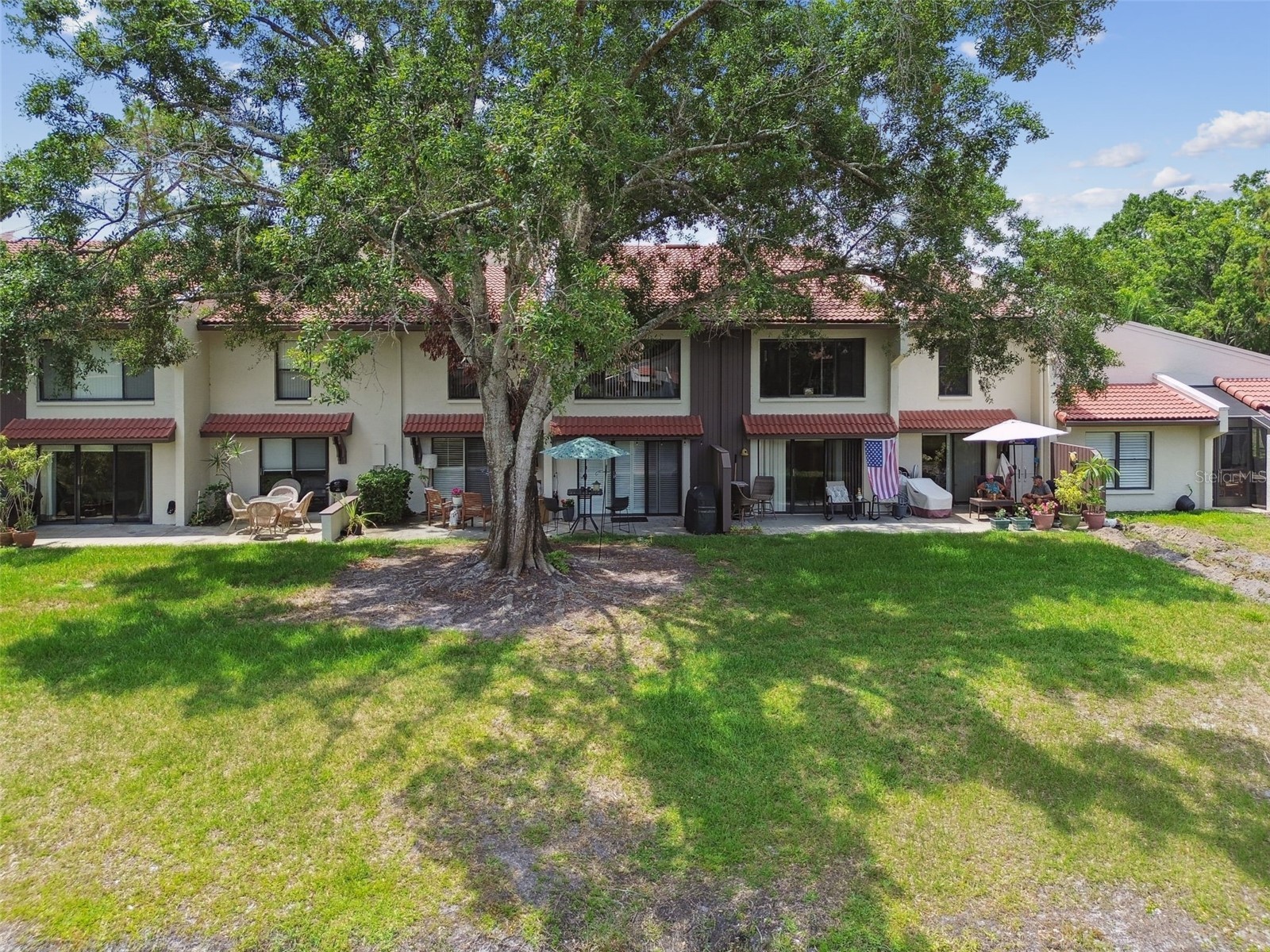 3505 Tarpon Woods Boulevard #P404 Palm Harbor FL 34685 TB8499496 image53