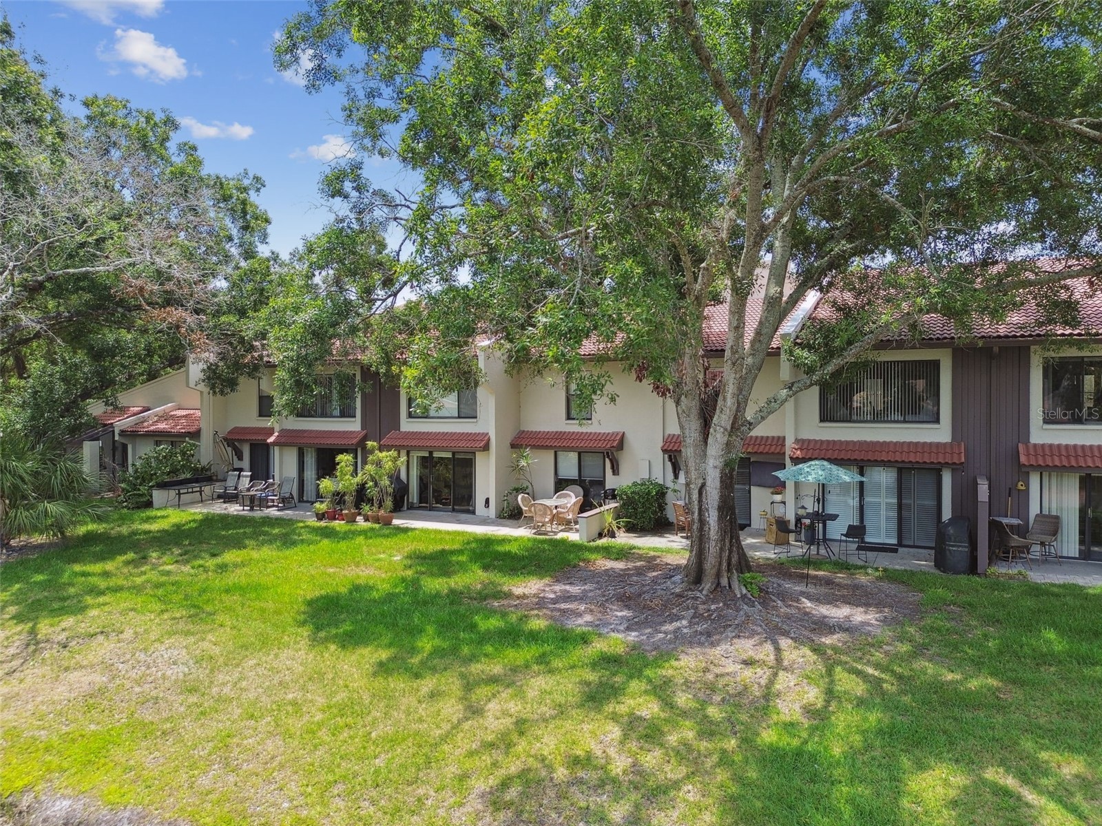 3505 Tarpon Woods Boulevard #P404 Palm Harbor FL 34685 TB8499496 image54