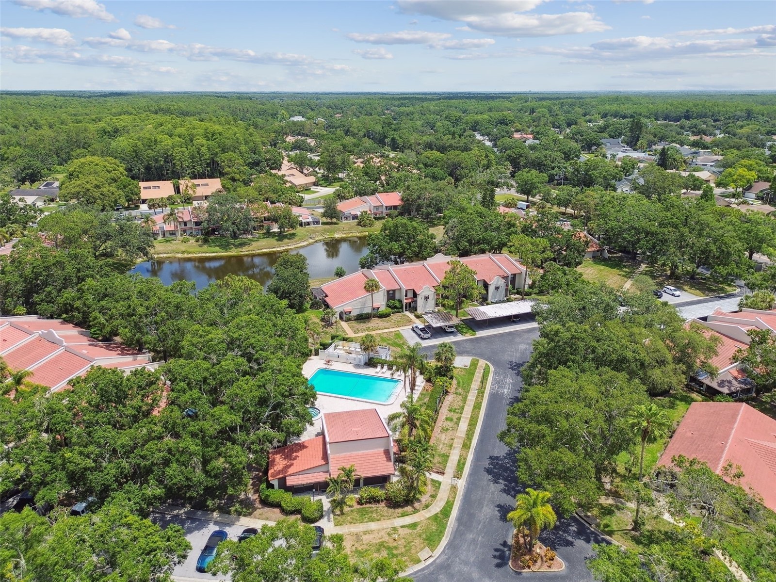 3505 Tarpon Woods Boulevard #P404 Palm Harbor FL 34685 TB8499496 image55